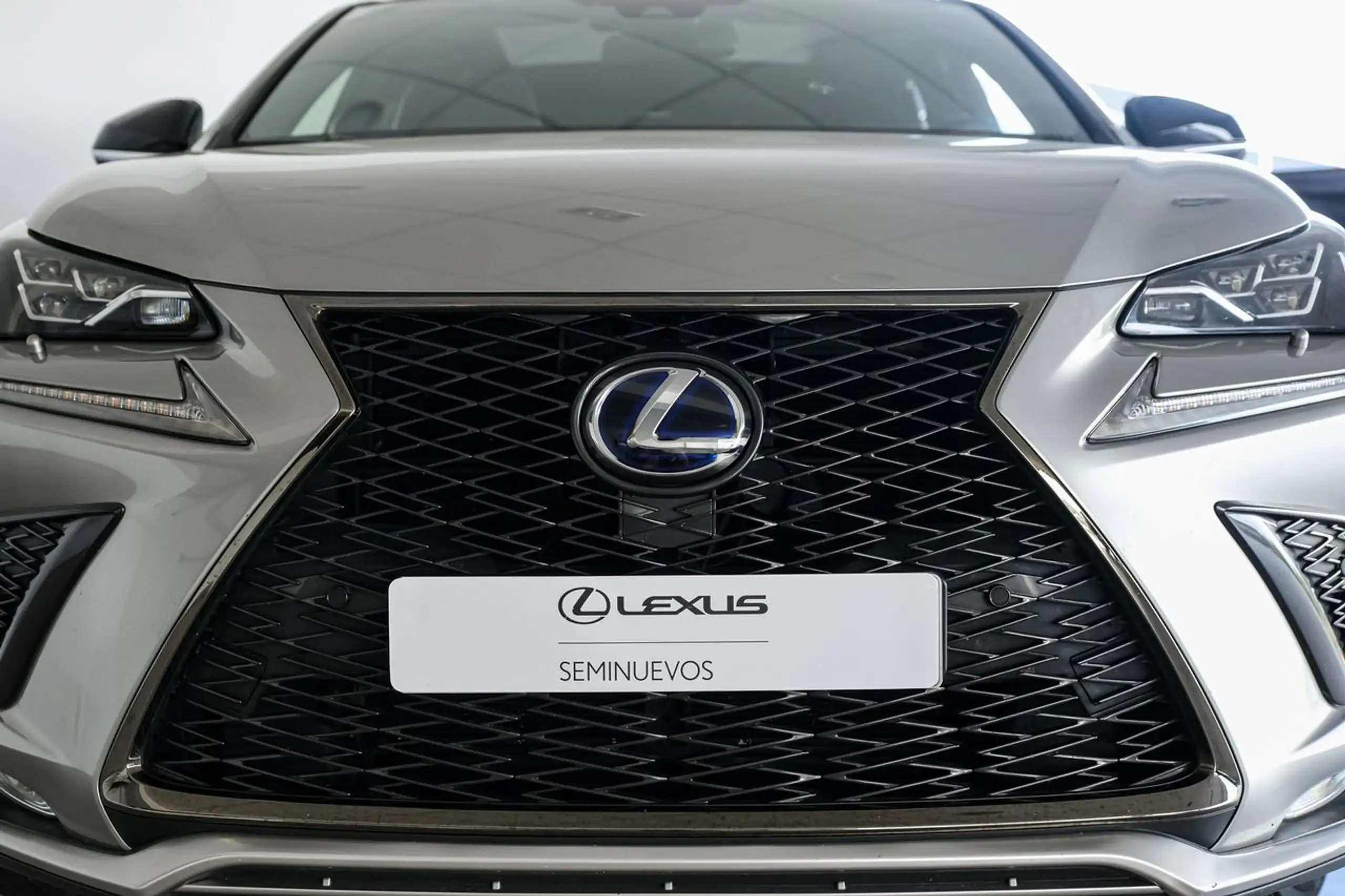 Lexus - NX 300h