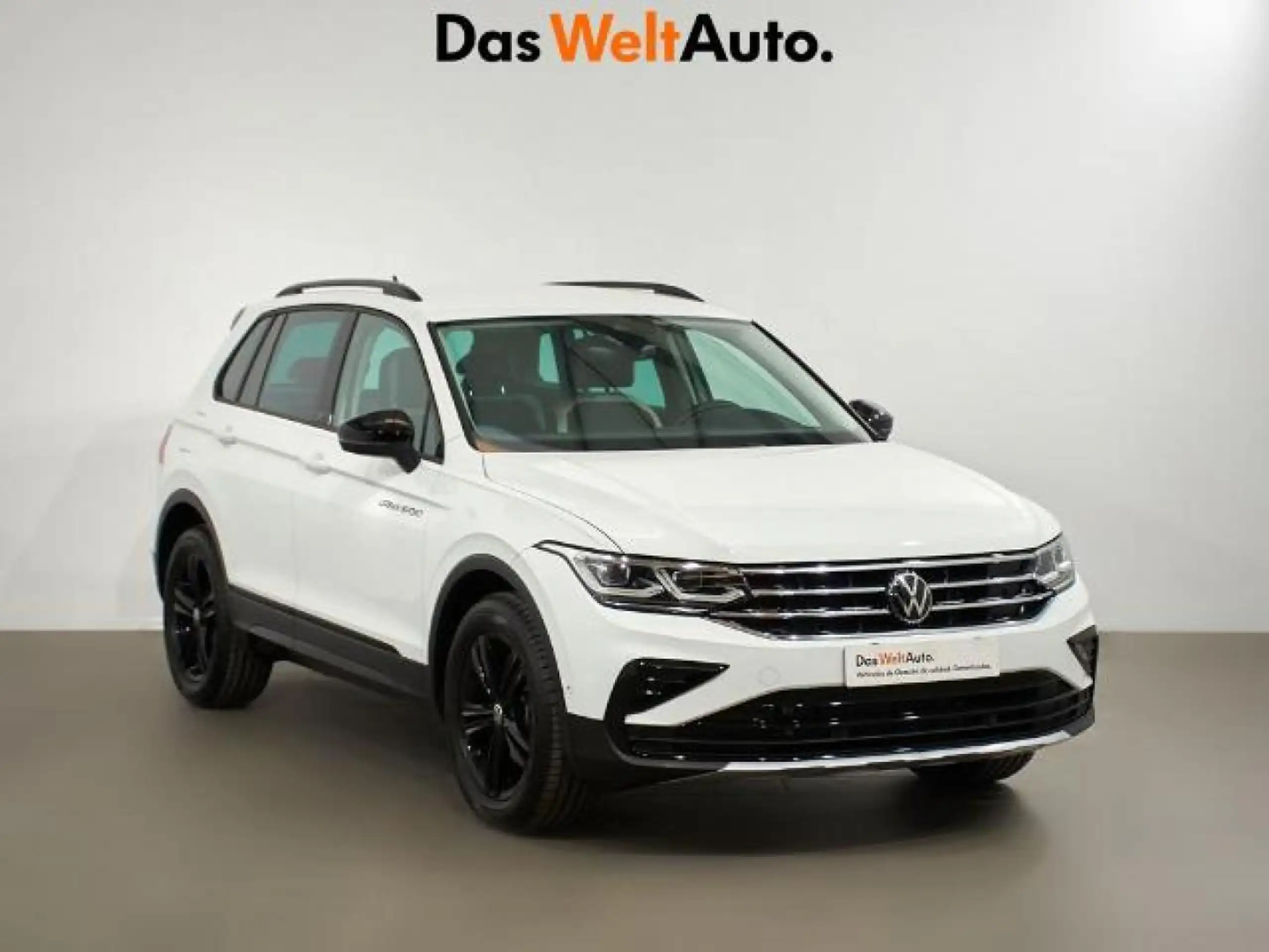 Volkswagen - Tiguan