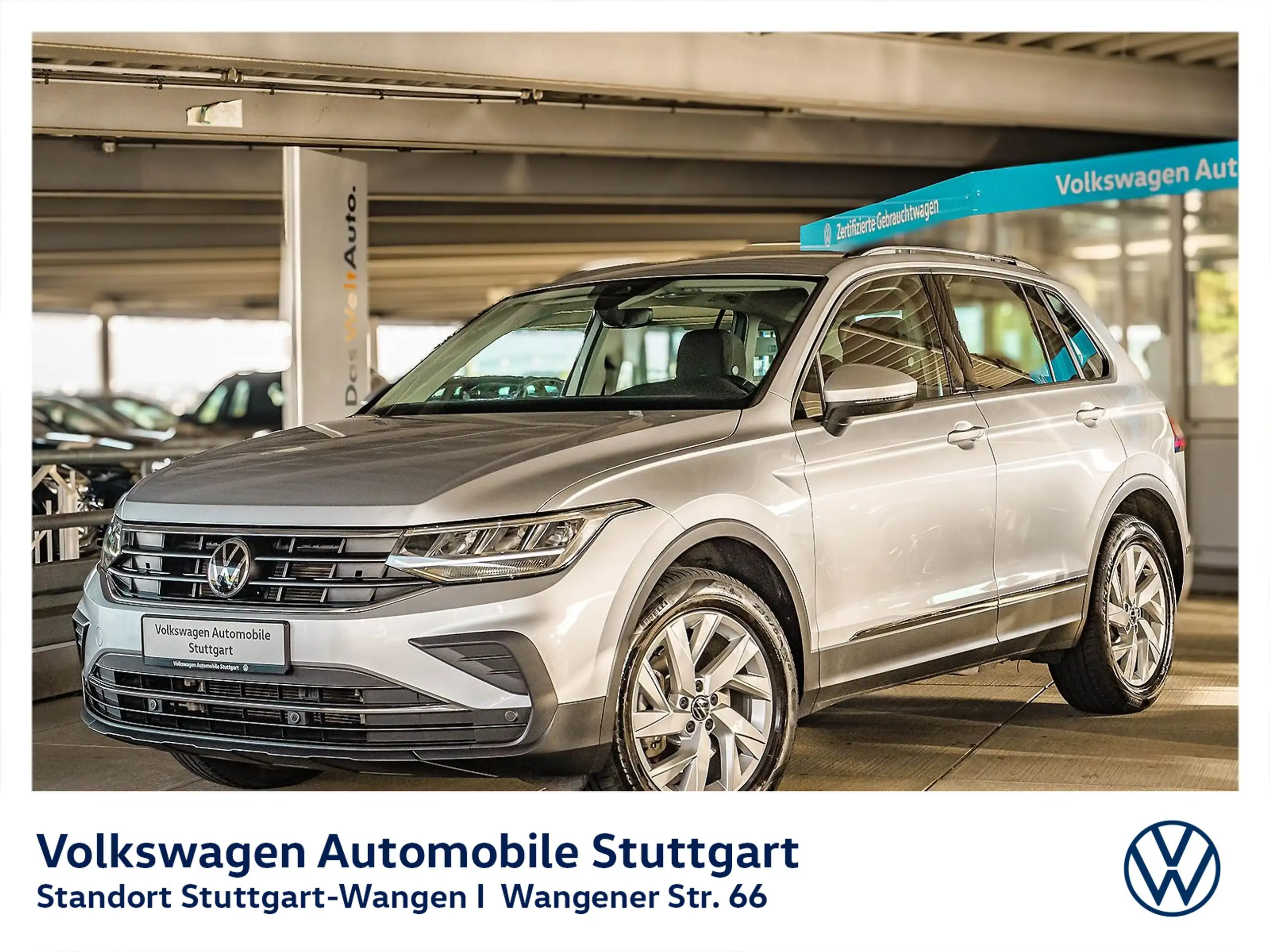 Volkswagen - Tiguan