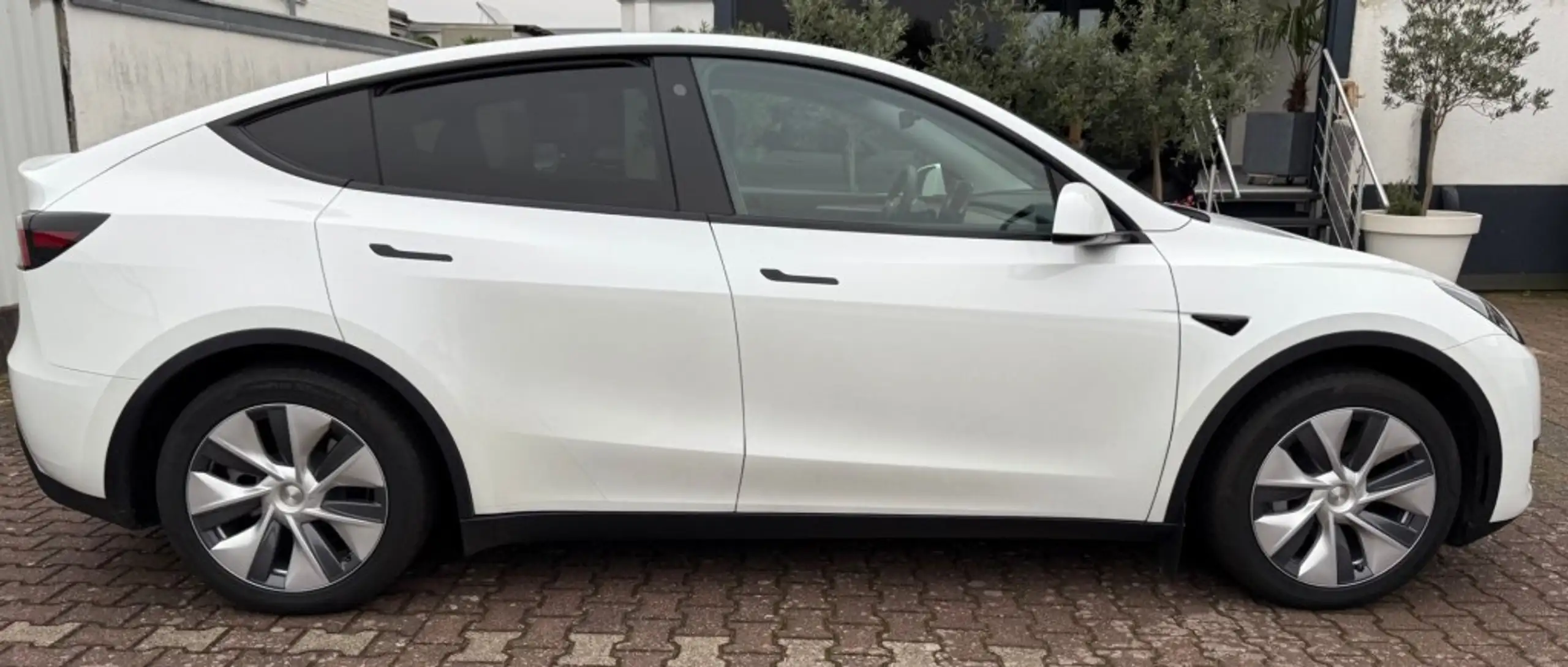 Tesla - Model Y