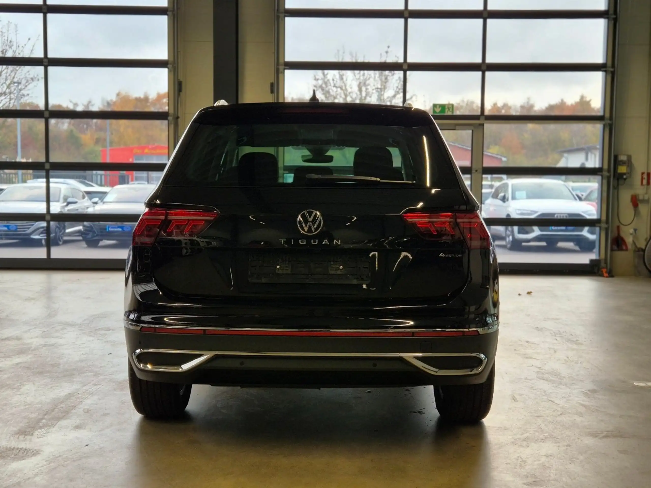 Volkswagen - Tiguan