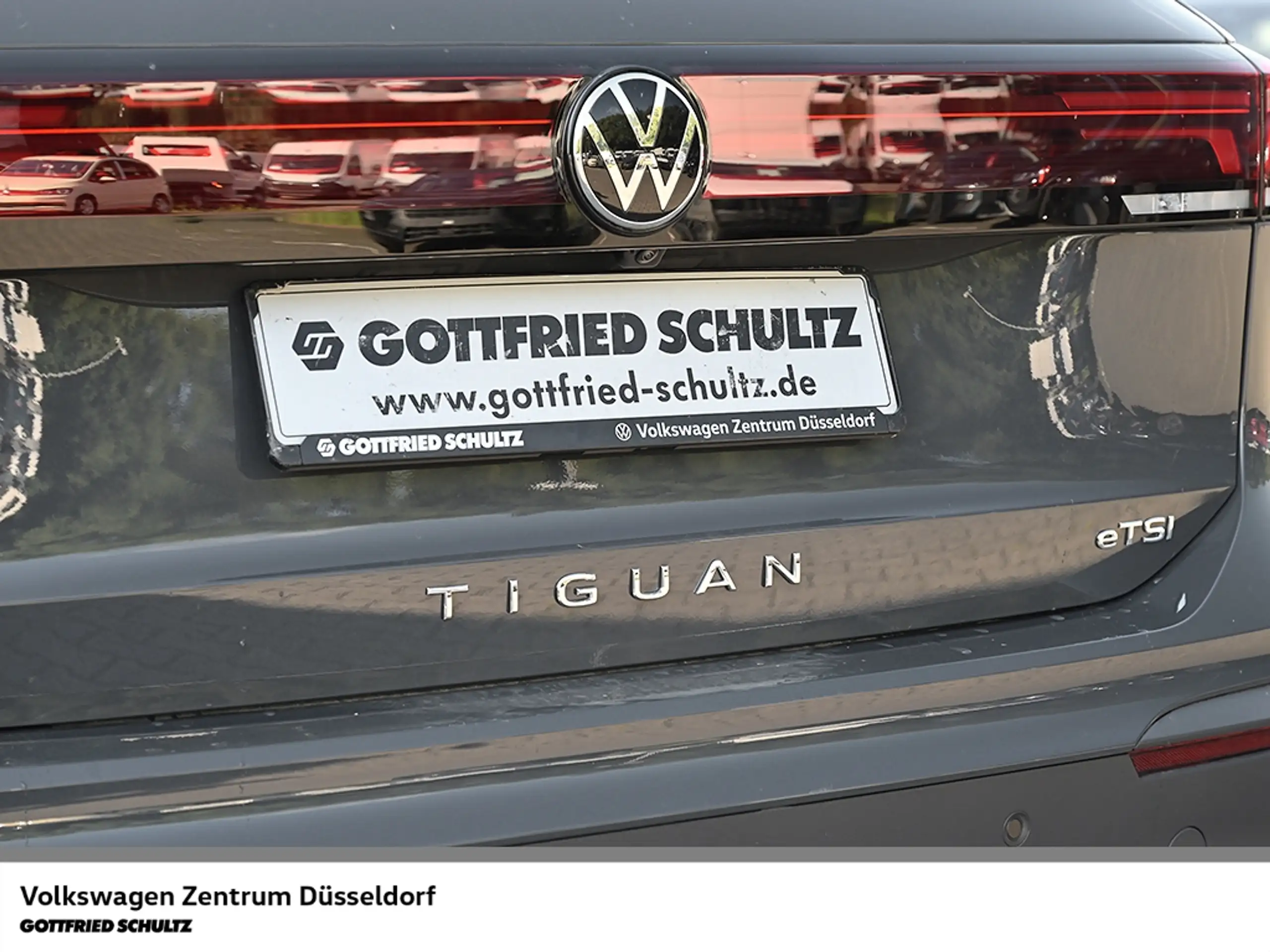 Volkswagen - Tiguan