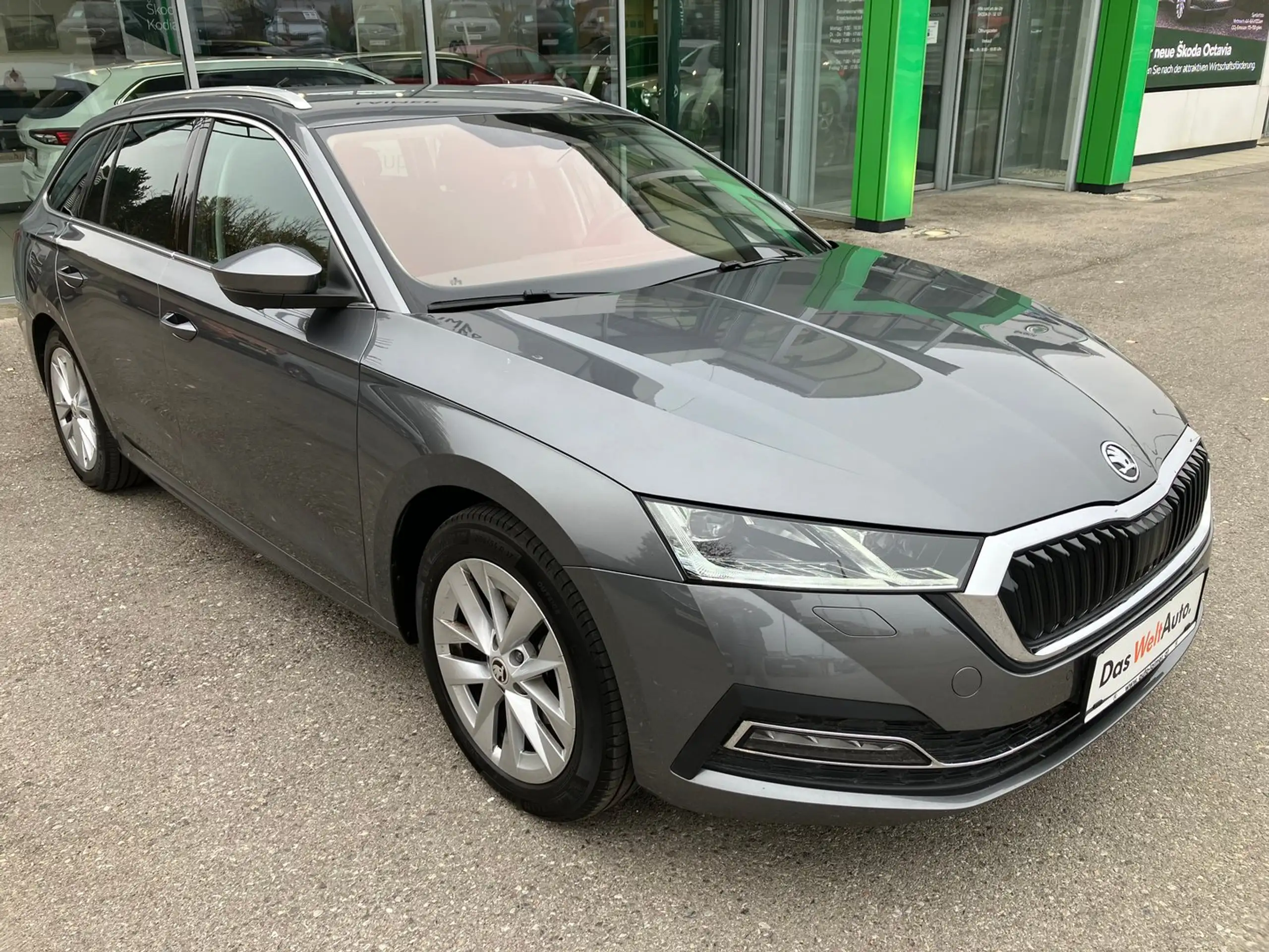 Skoda - Octavia