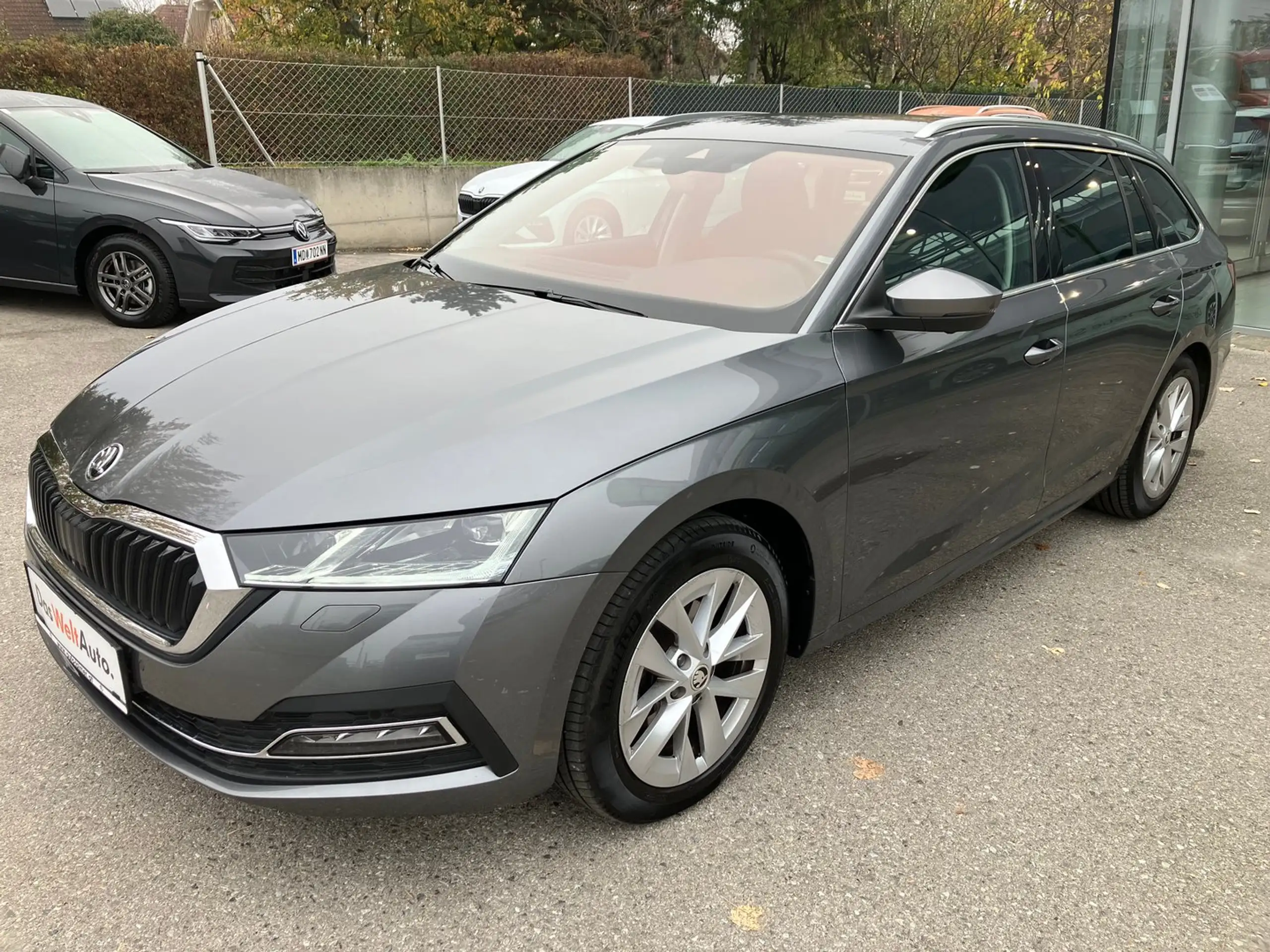 Skoda - Octavia