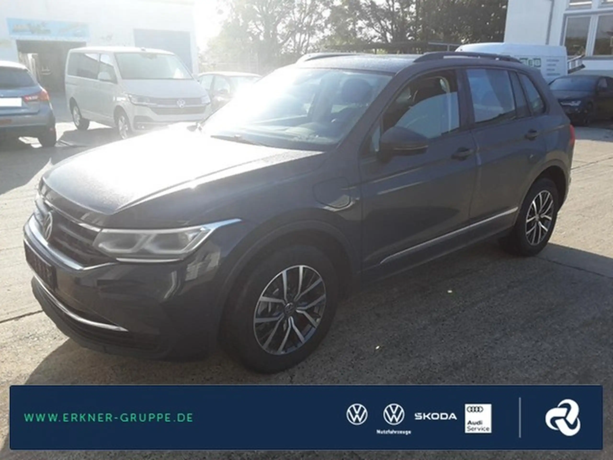 Volkswagen - Tiguan