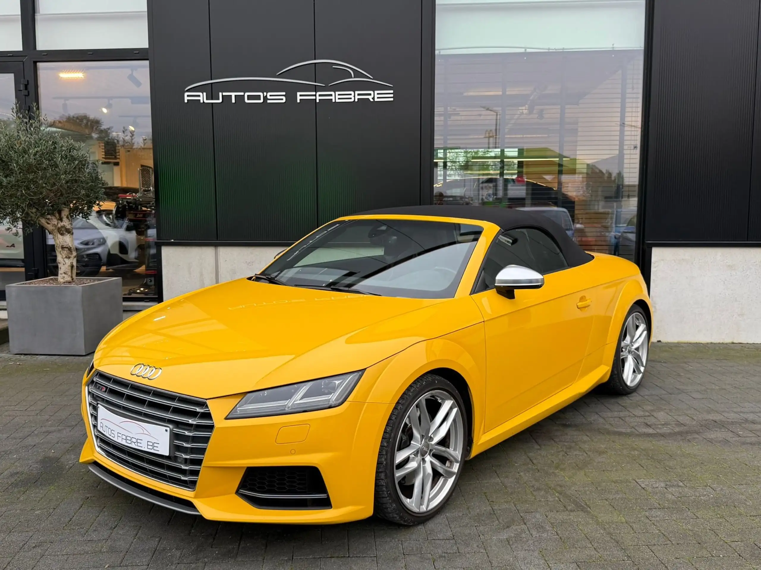 Audi TTS 2015