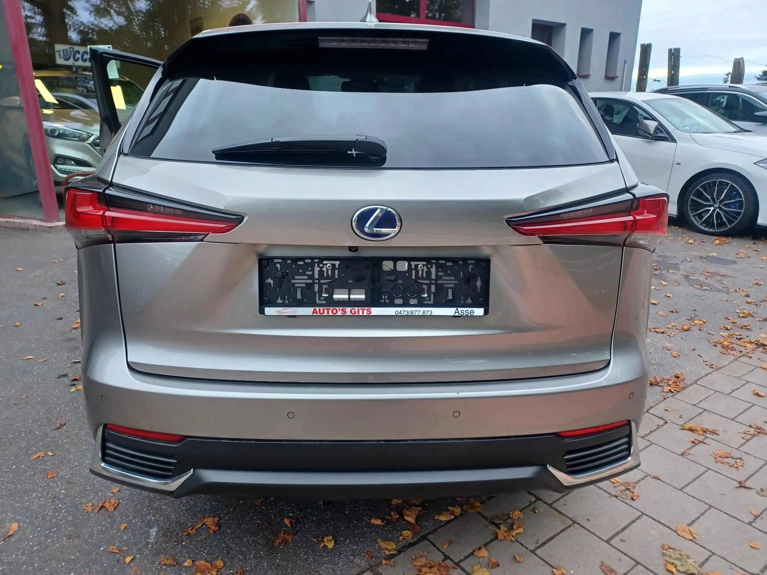 Lexus - NX 300h