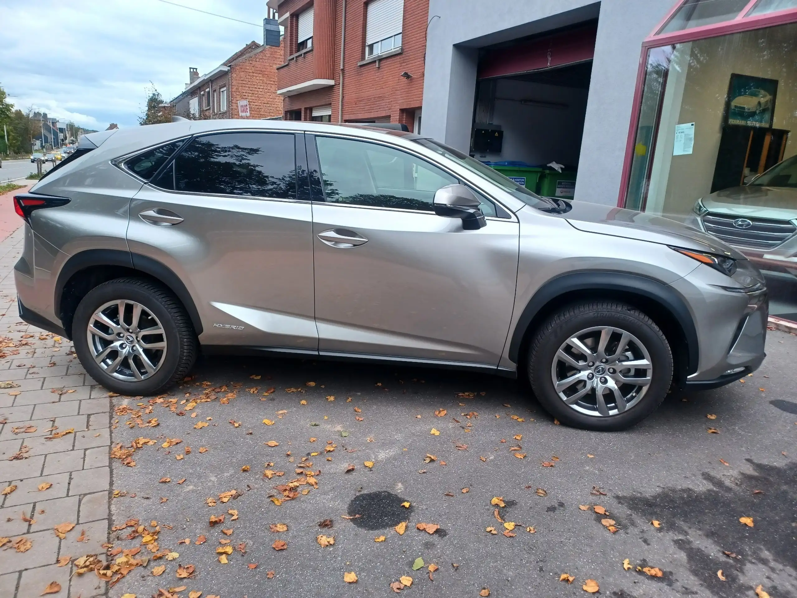 Lexus - NX 300h