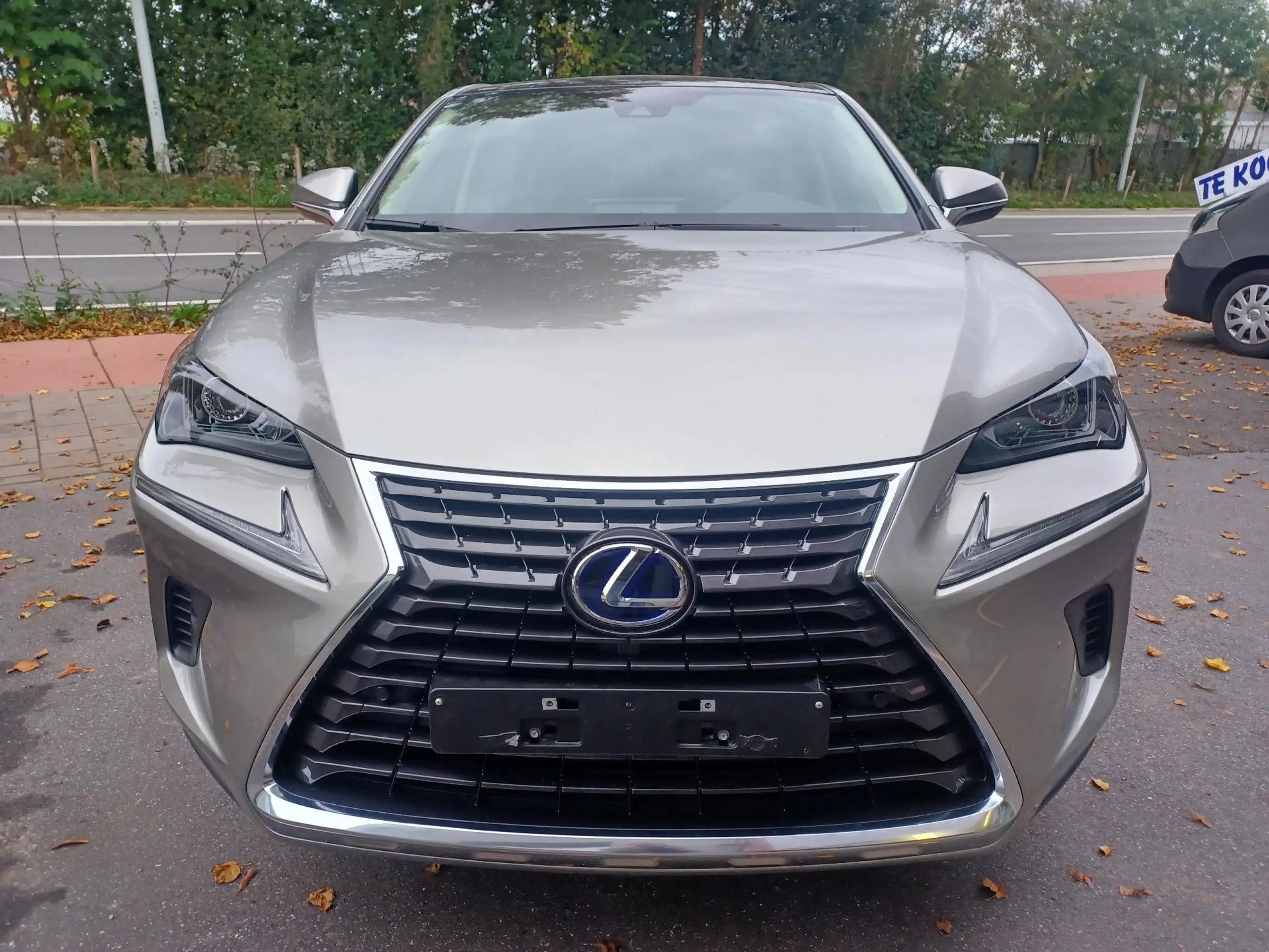 Lexus - NX 300h