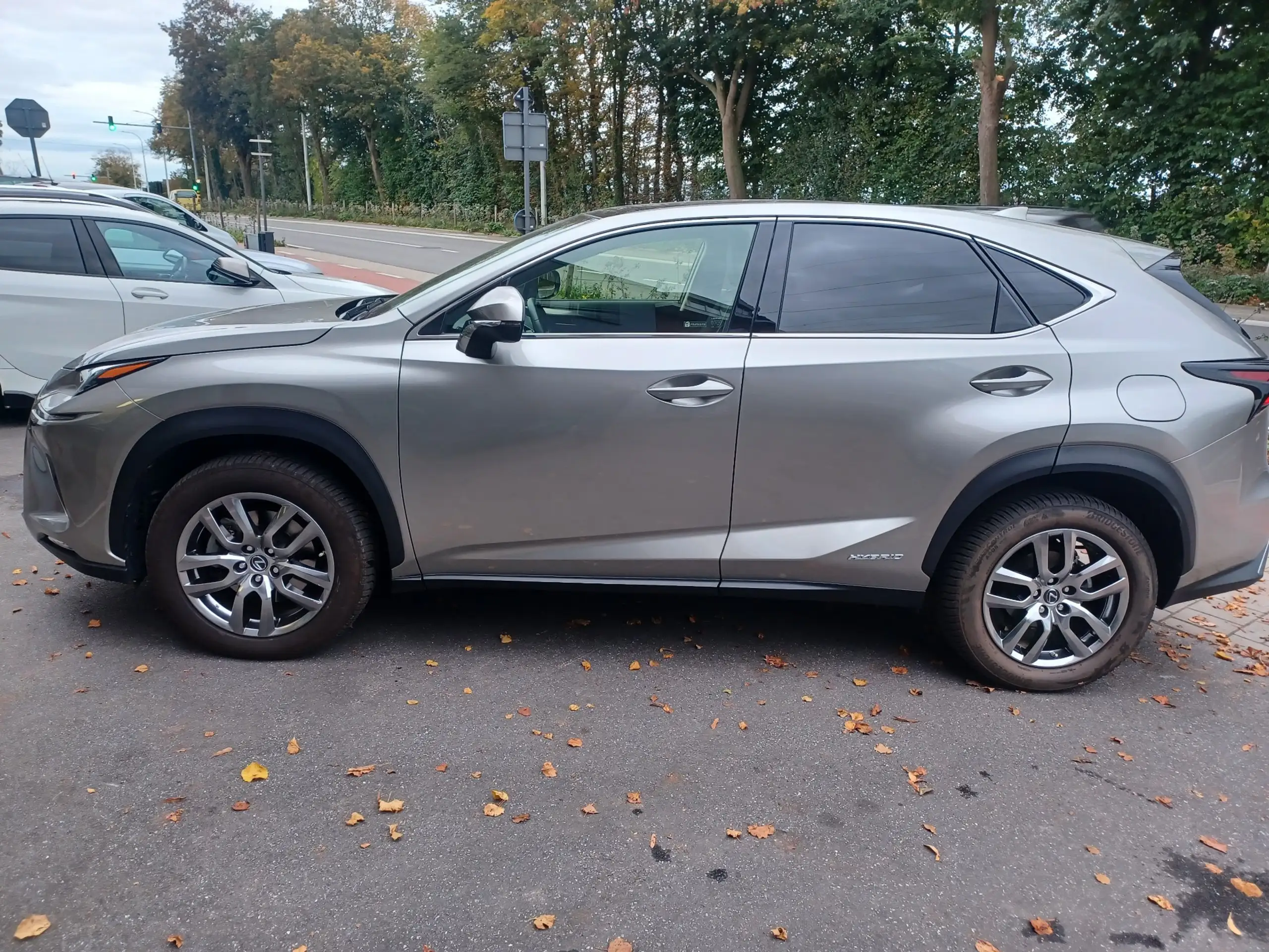 Lexus - NX 300h