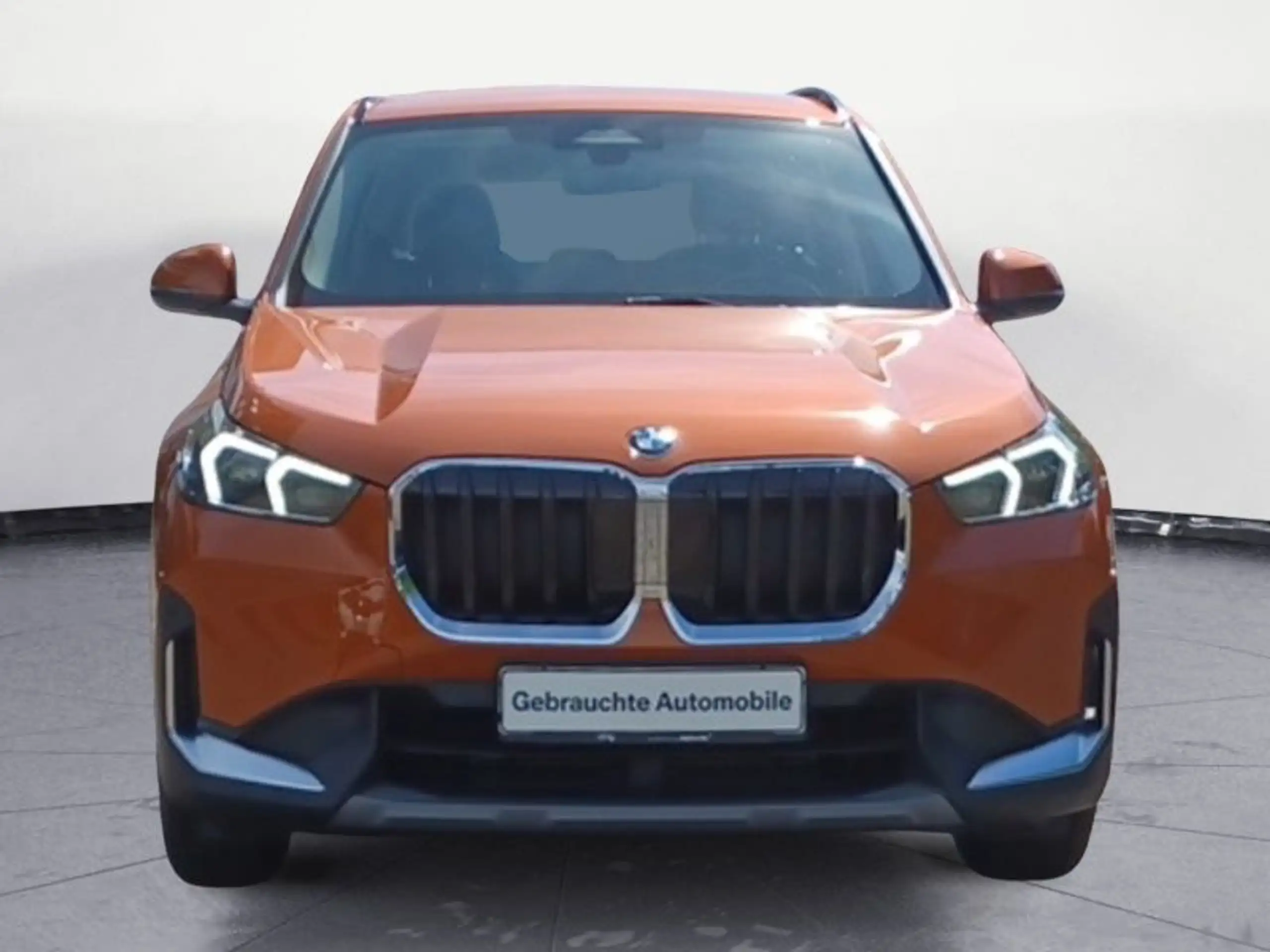 BMW - X1