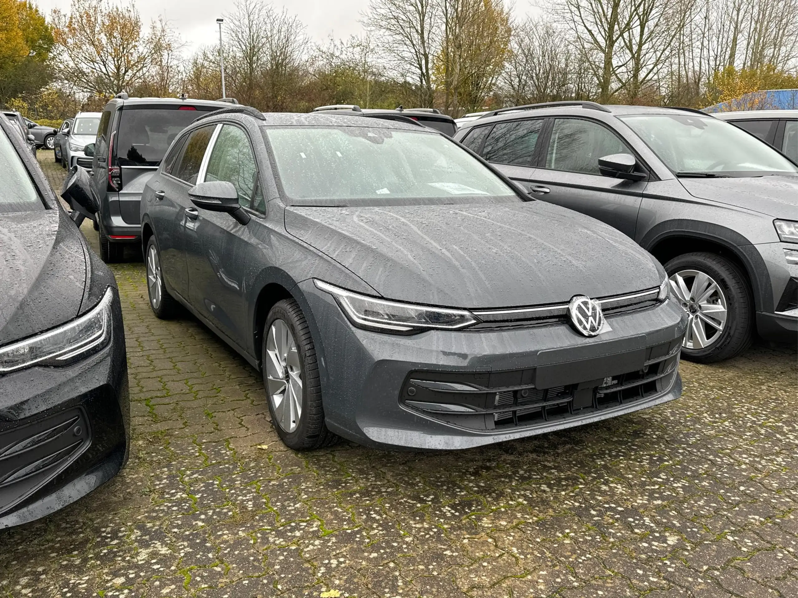 Volkswagen - Golf Variant