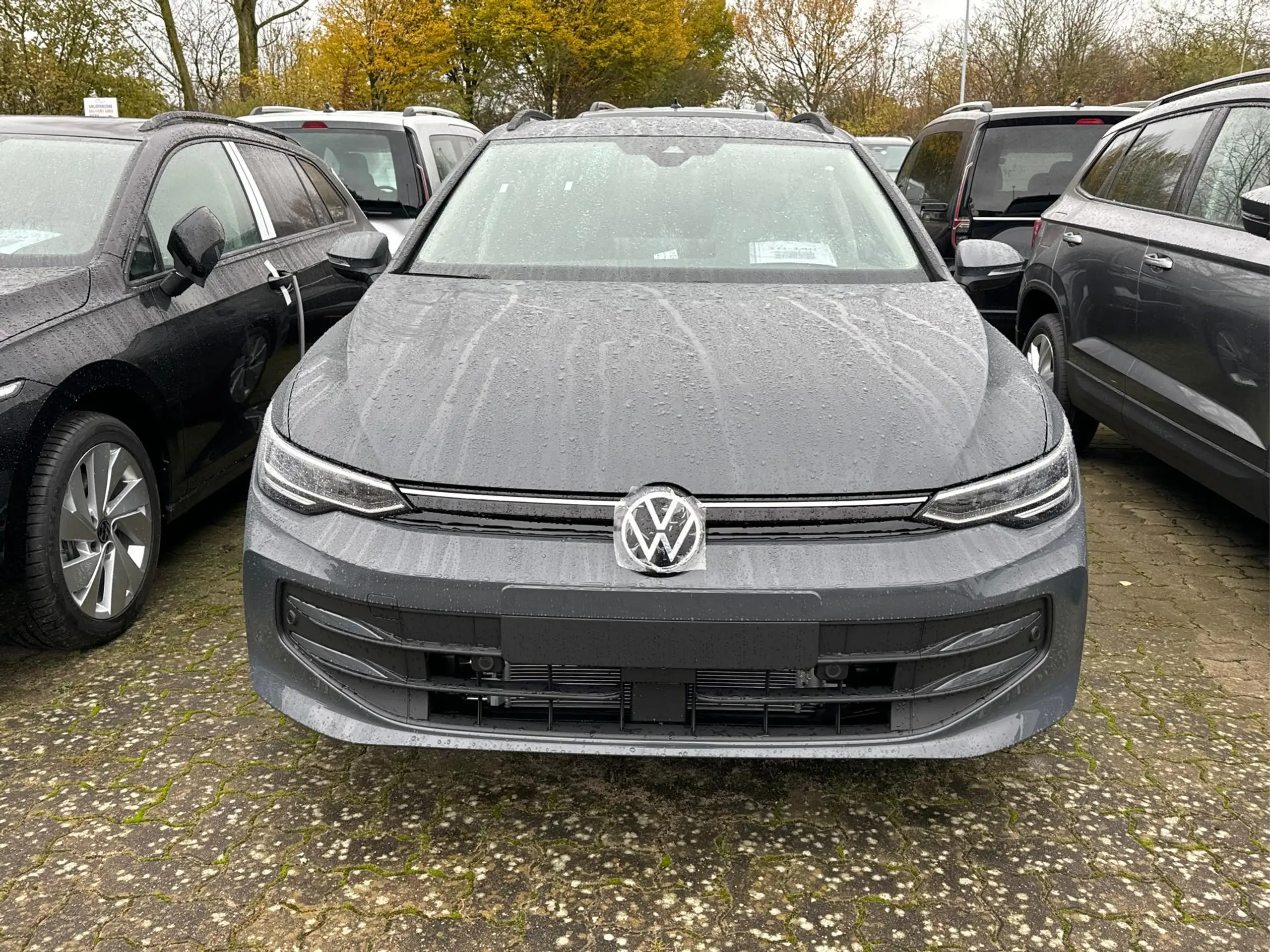 Volkswagen - Golf Variant