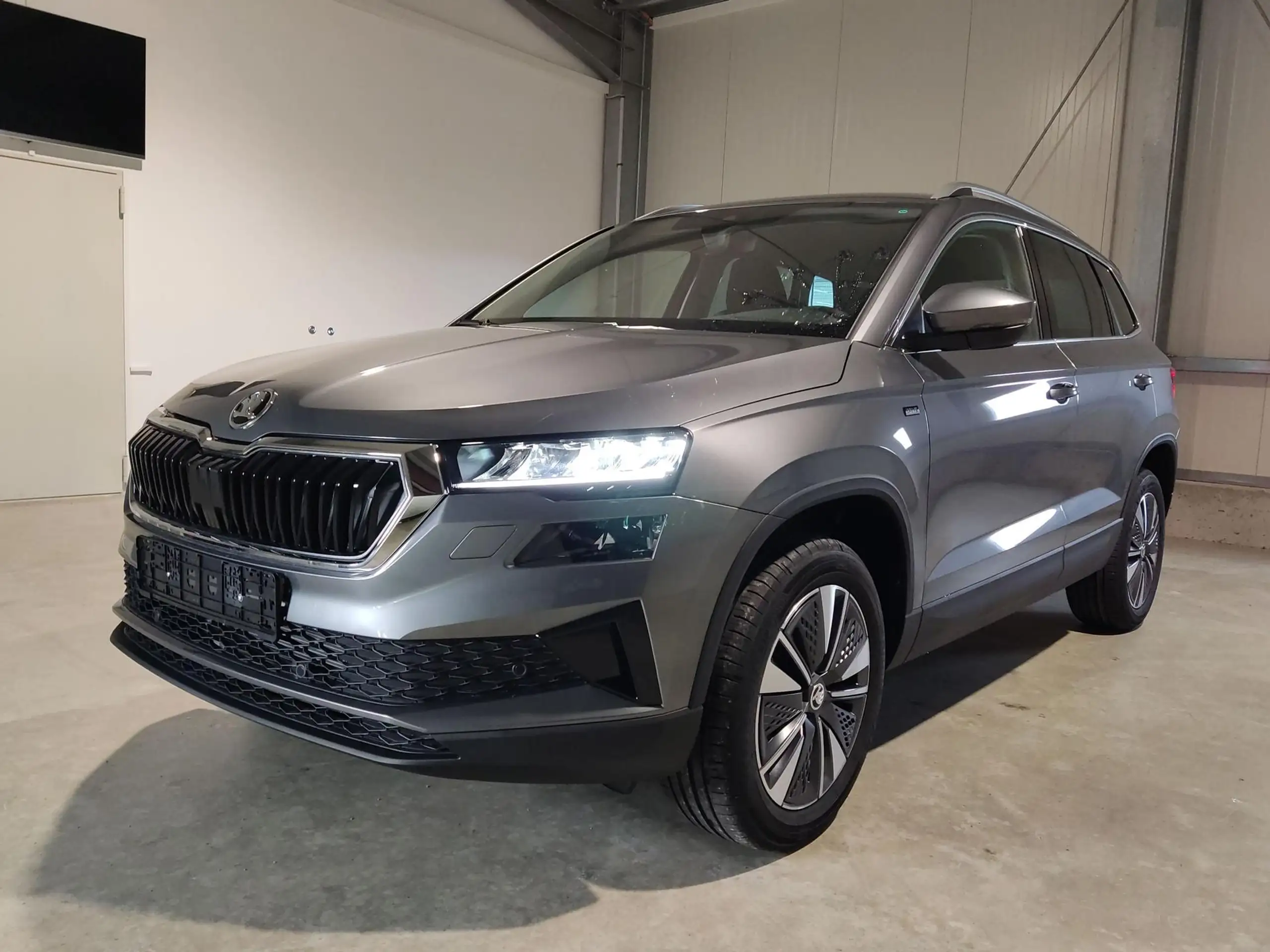 Skoda Karoq 2024