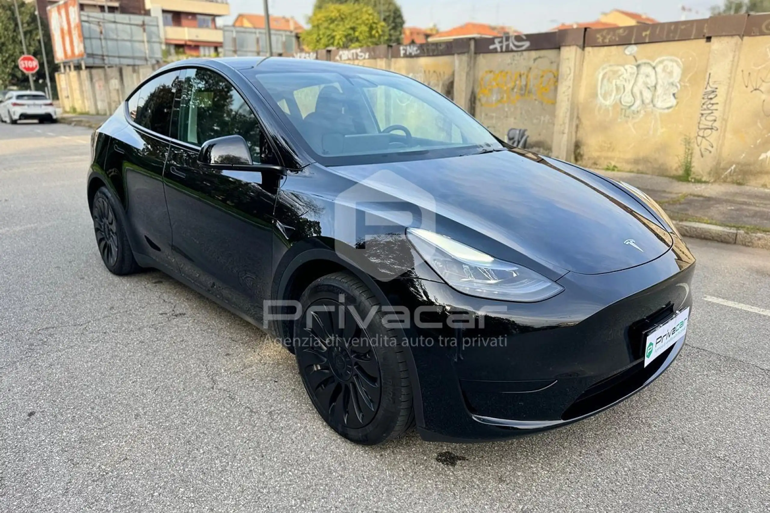 Tesla - Model Y