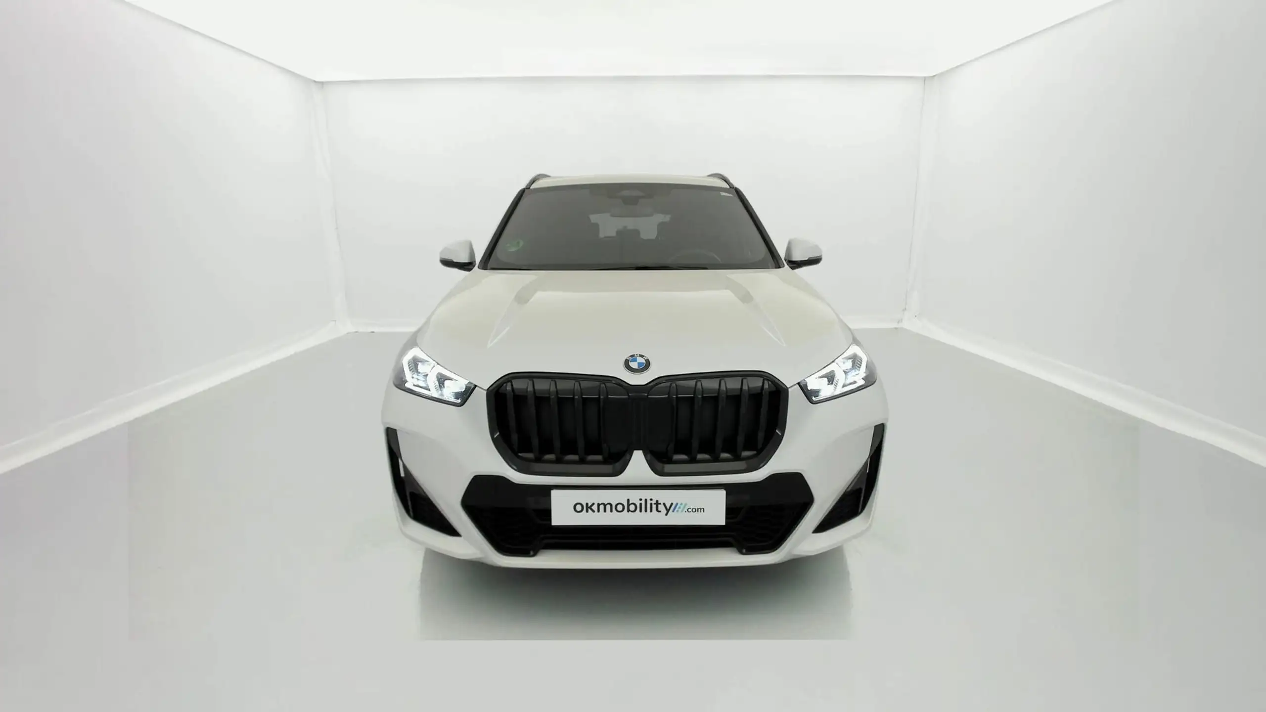 BMW - X1