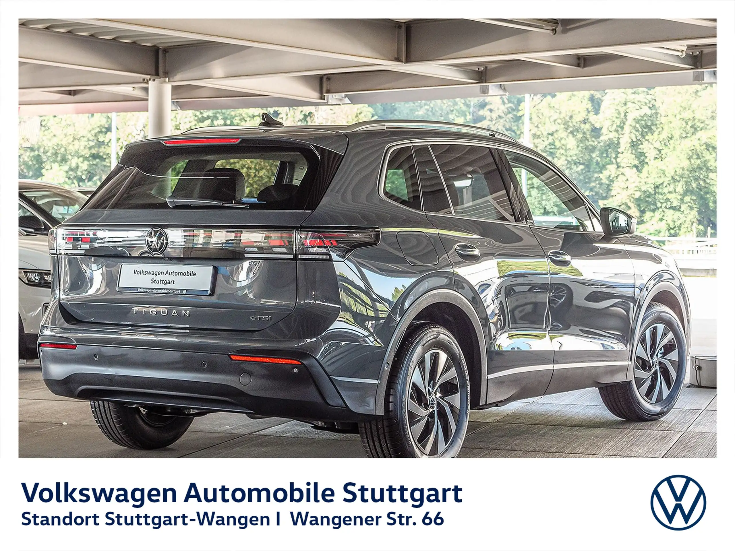 Volkswagen - Tiguan