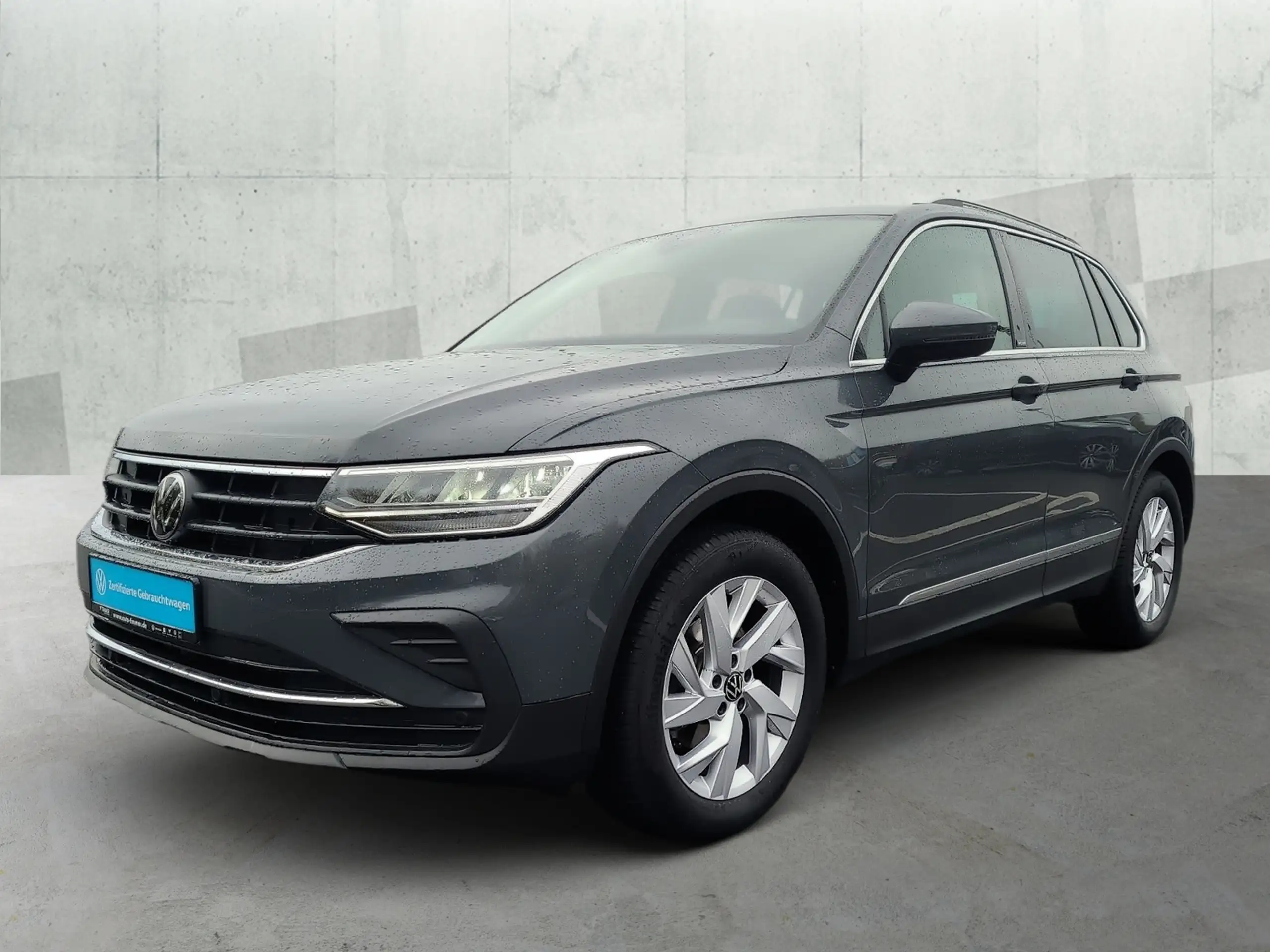 Volkswagen - Tiguan