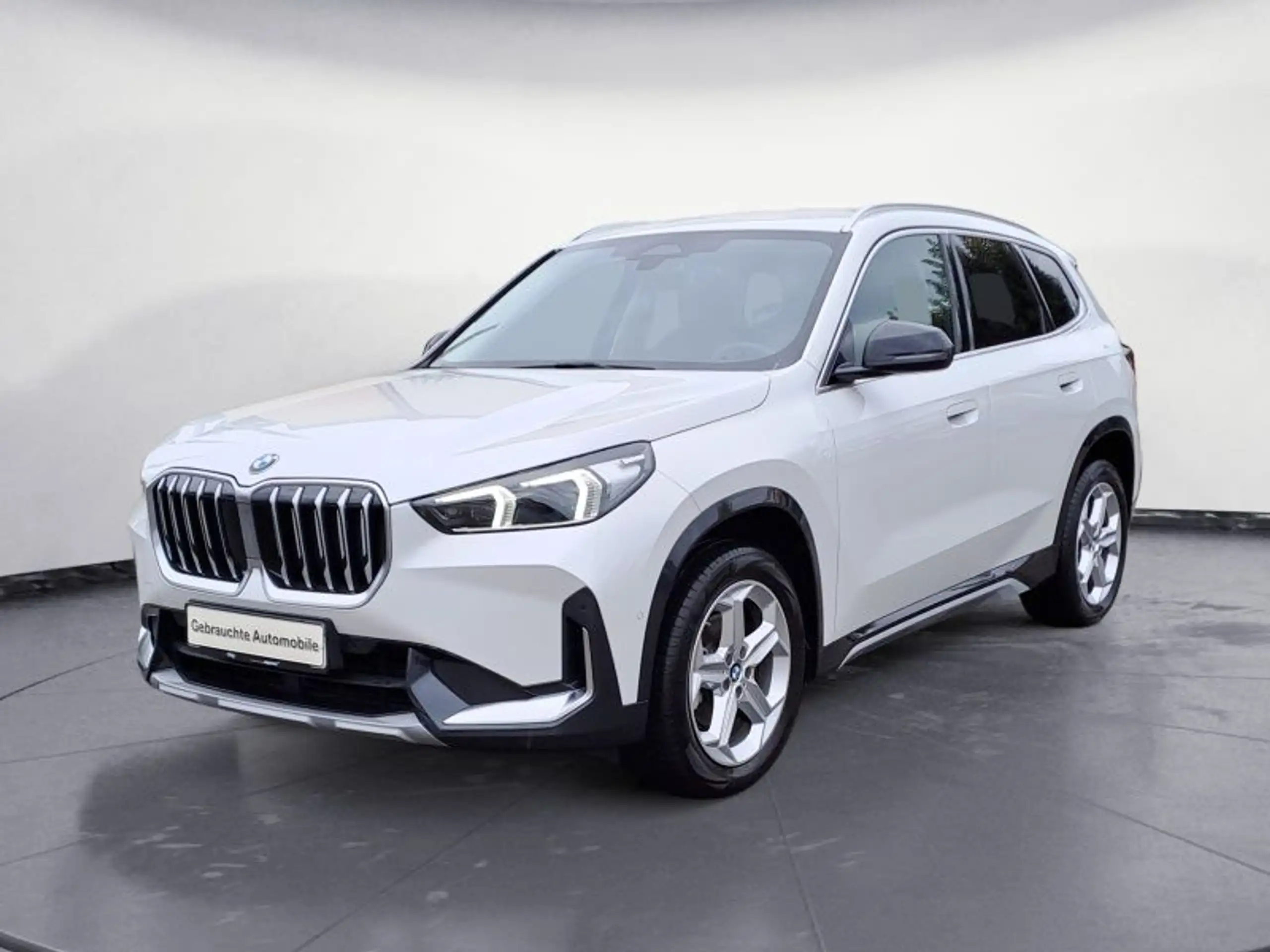 BMW - X1