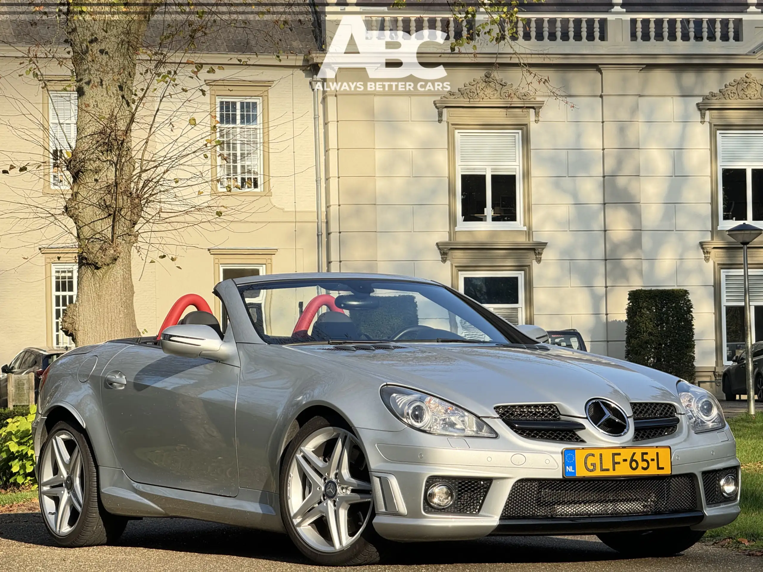 Mercedes-Benz SLK 55 AMG 2010