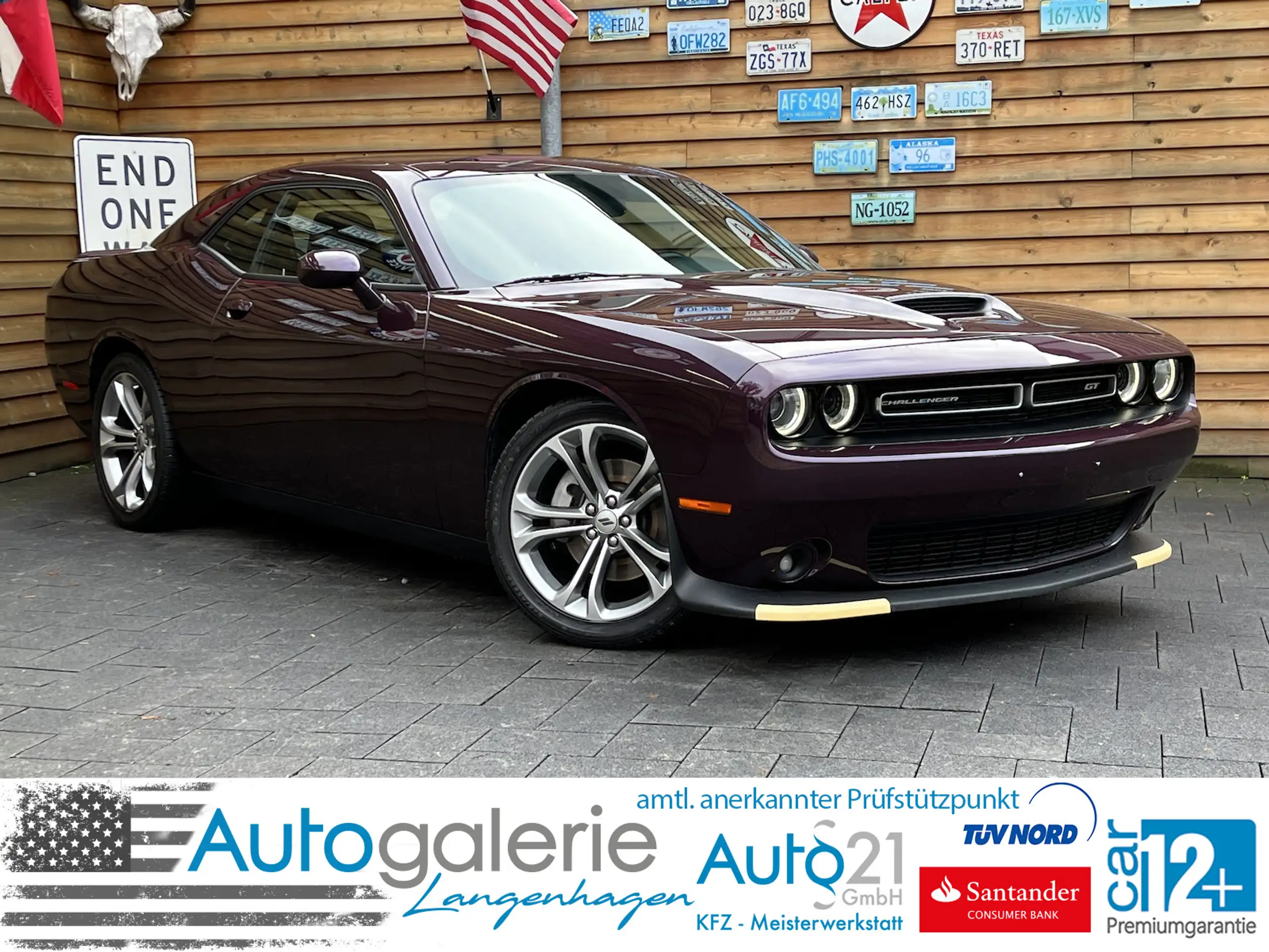 Dodge - Challenger