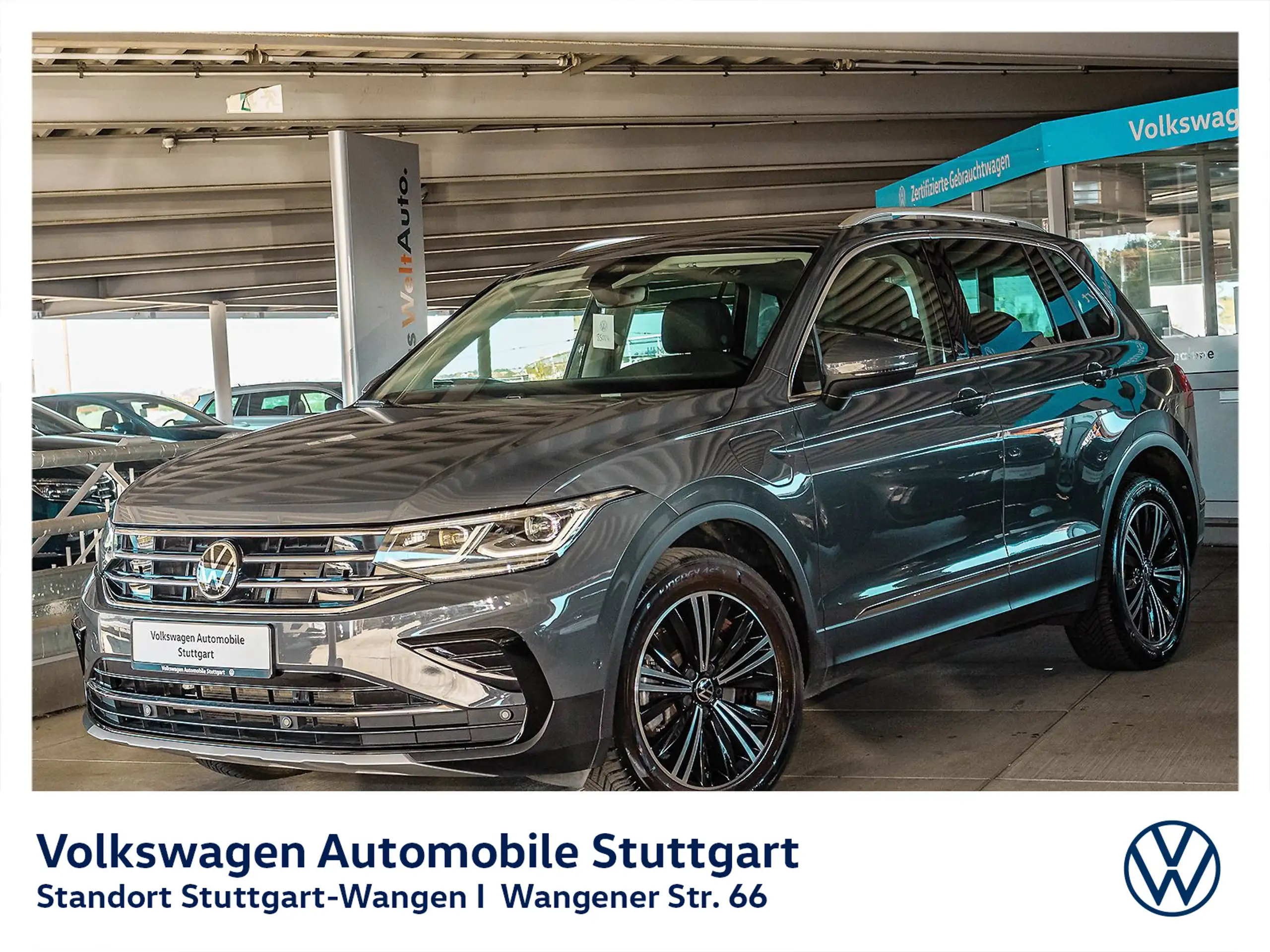 Volkswagen - Tiguan