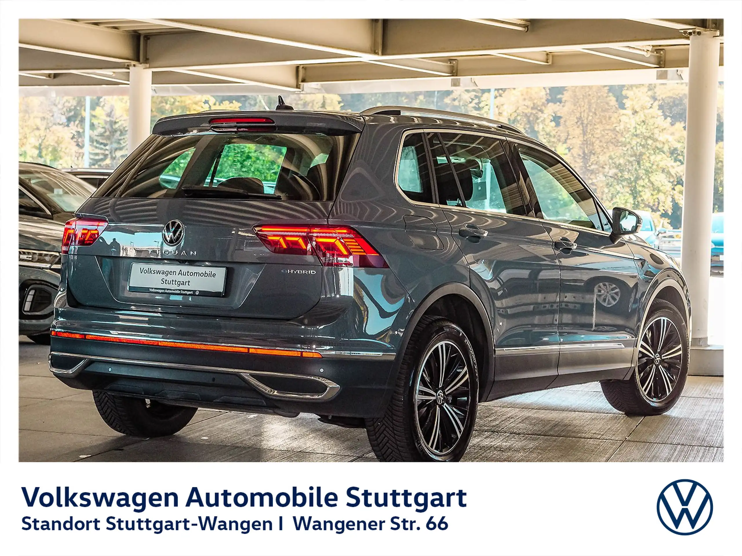 Volkswagen - Tiguan