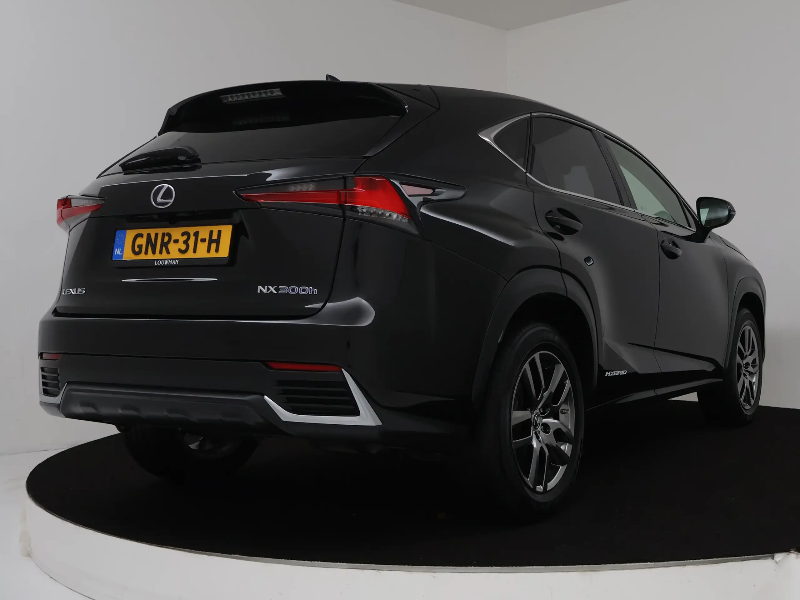 Lexus - NX 300h