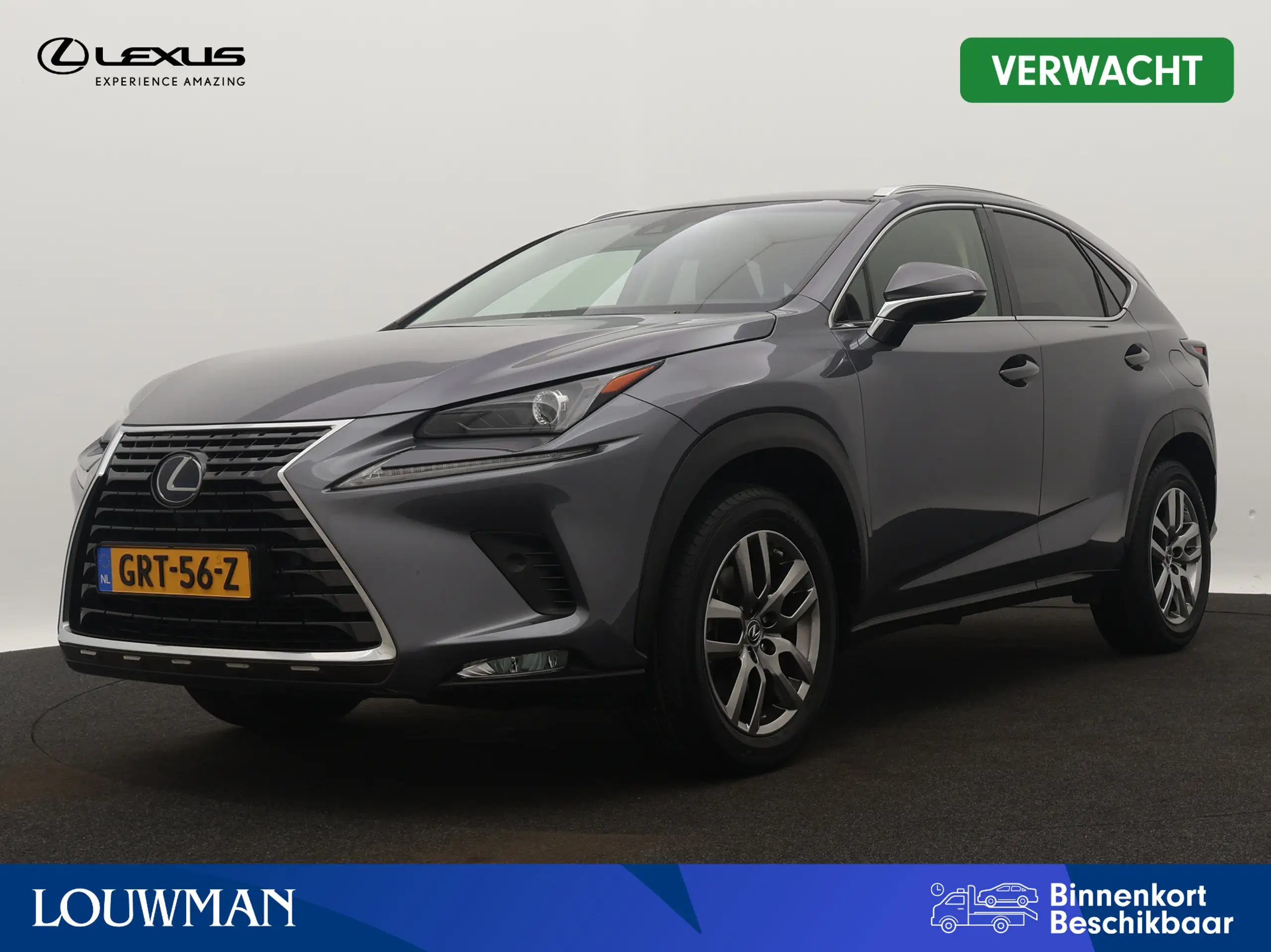 Lexus - NX 300h