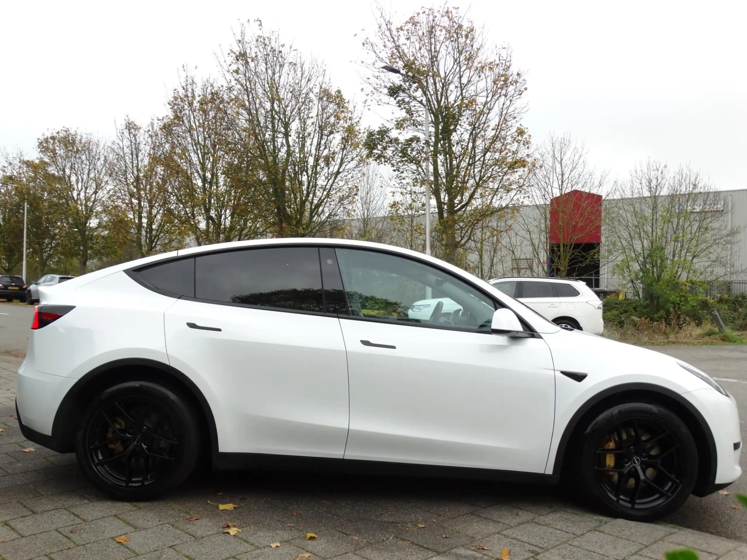 Tesla - Model Y