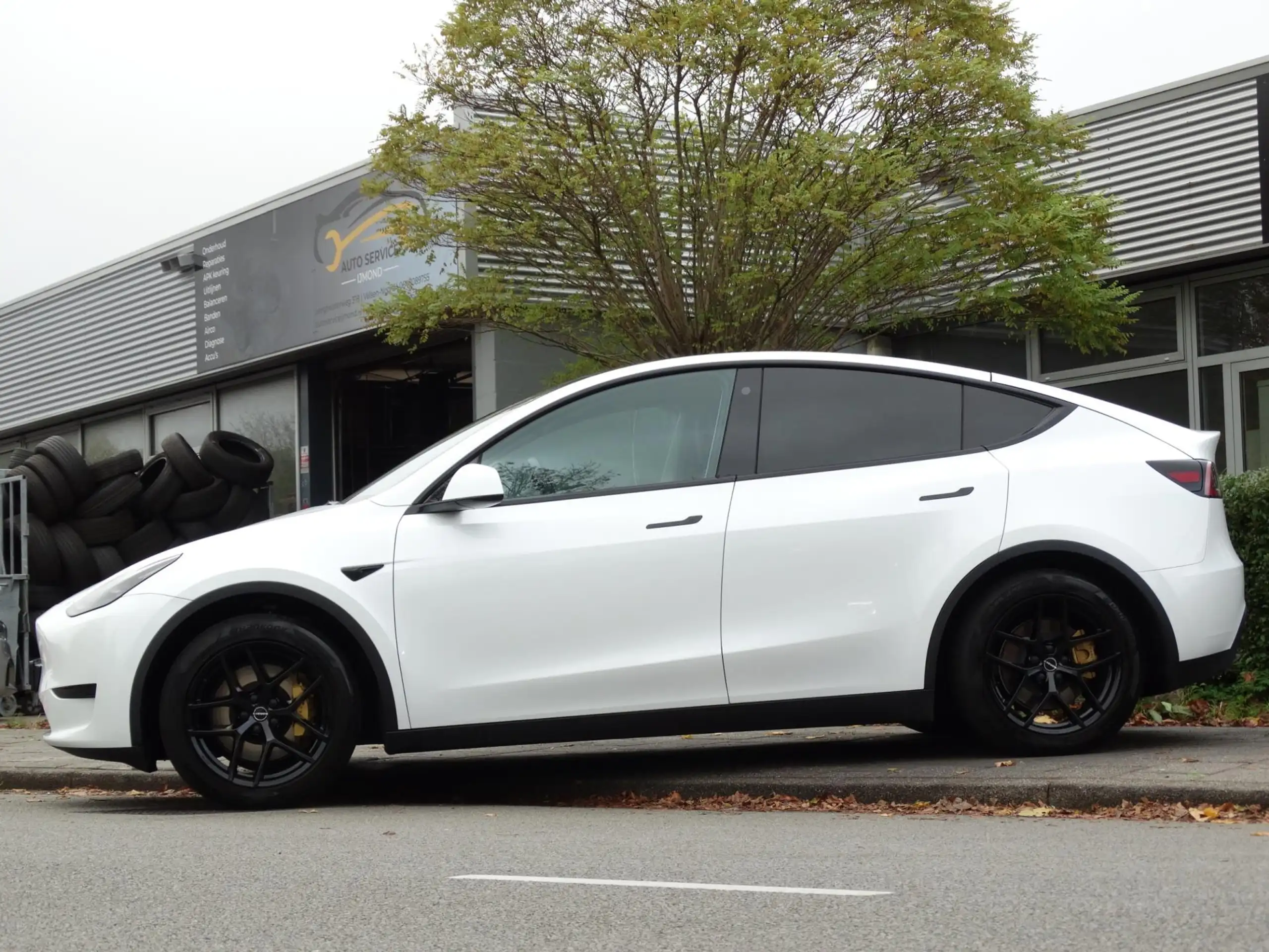 Tesla - Model Y