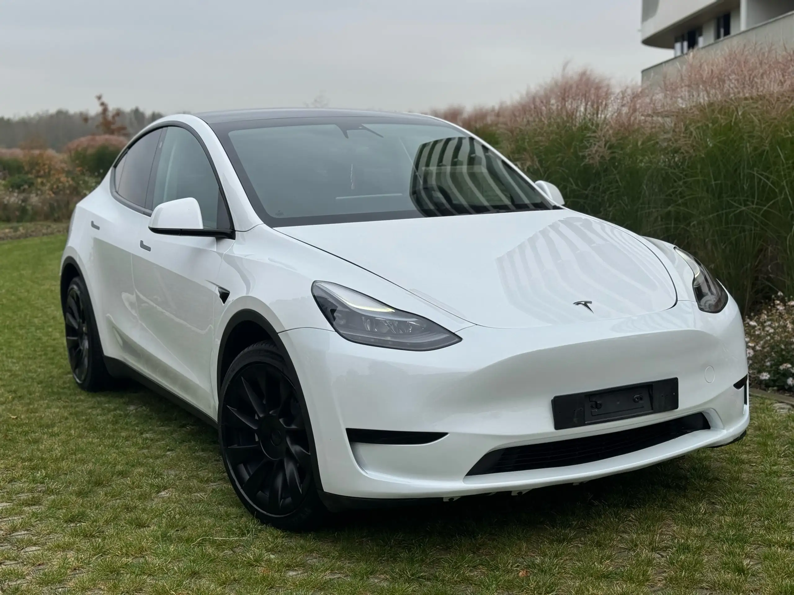 Tesla - Model Y