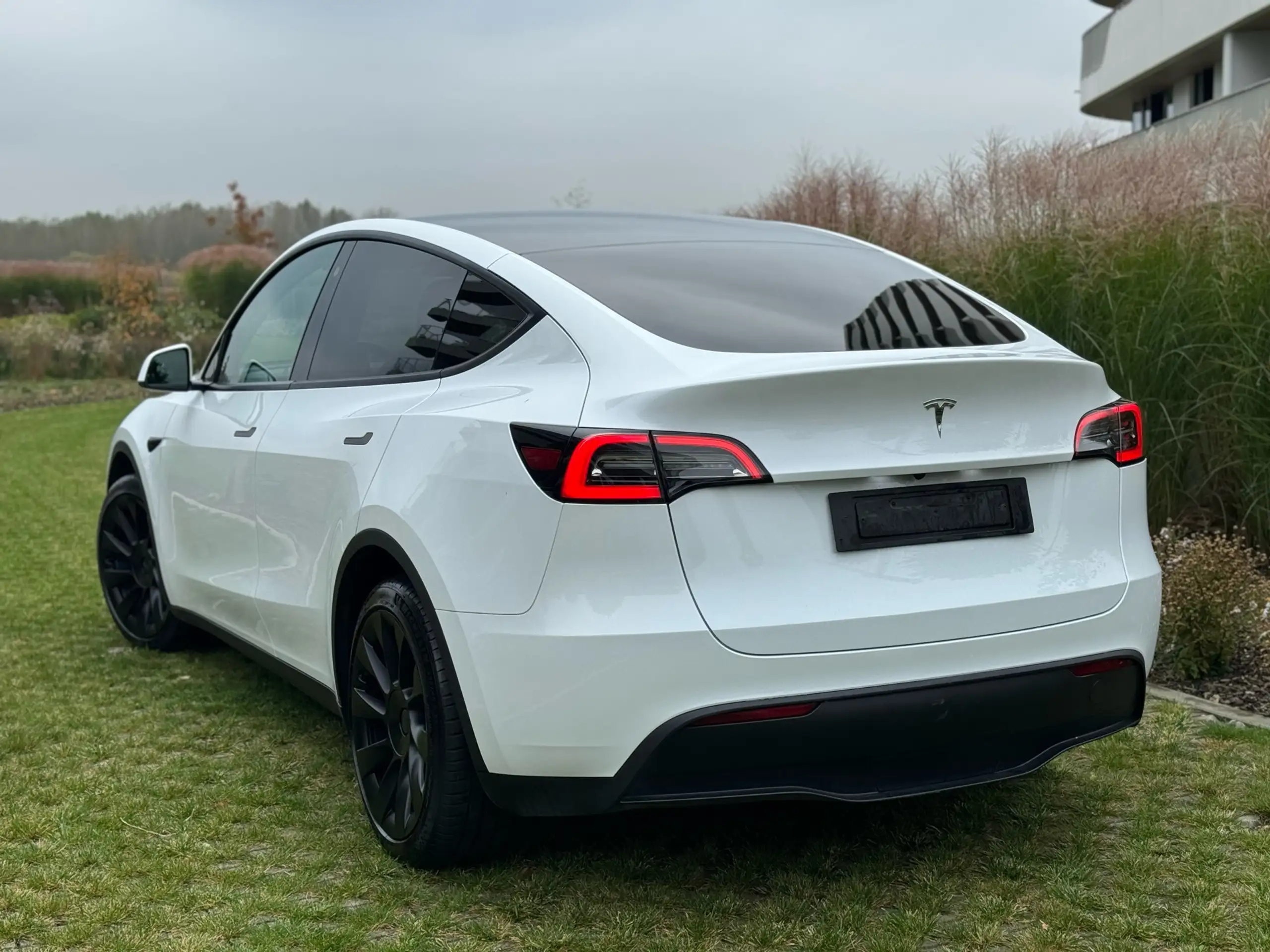 Tesla - Model Y