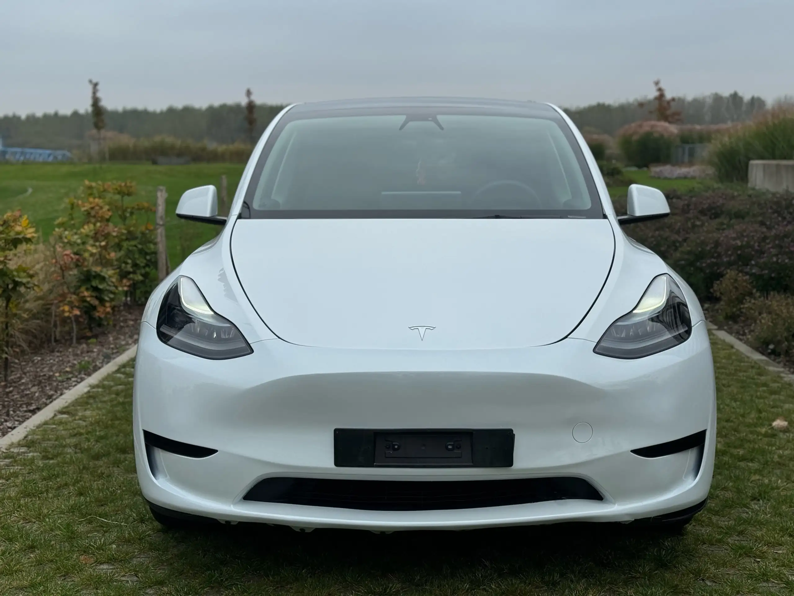 Tesla - Model Y