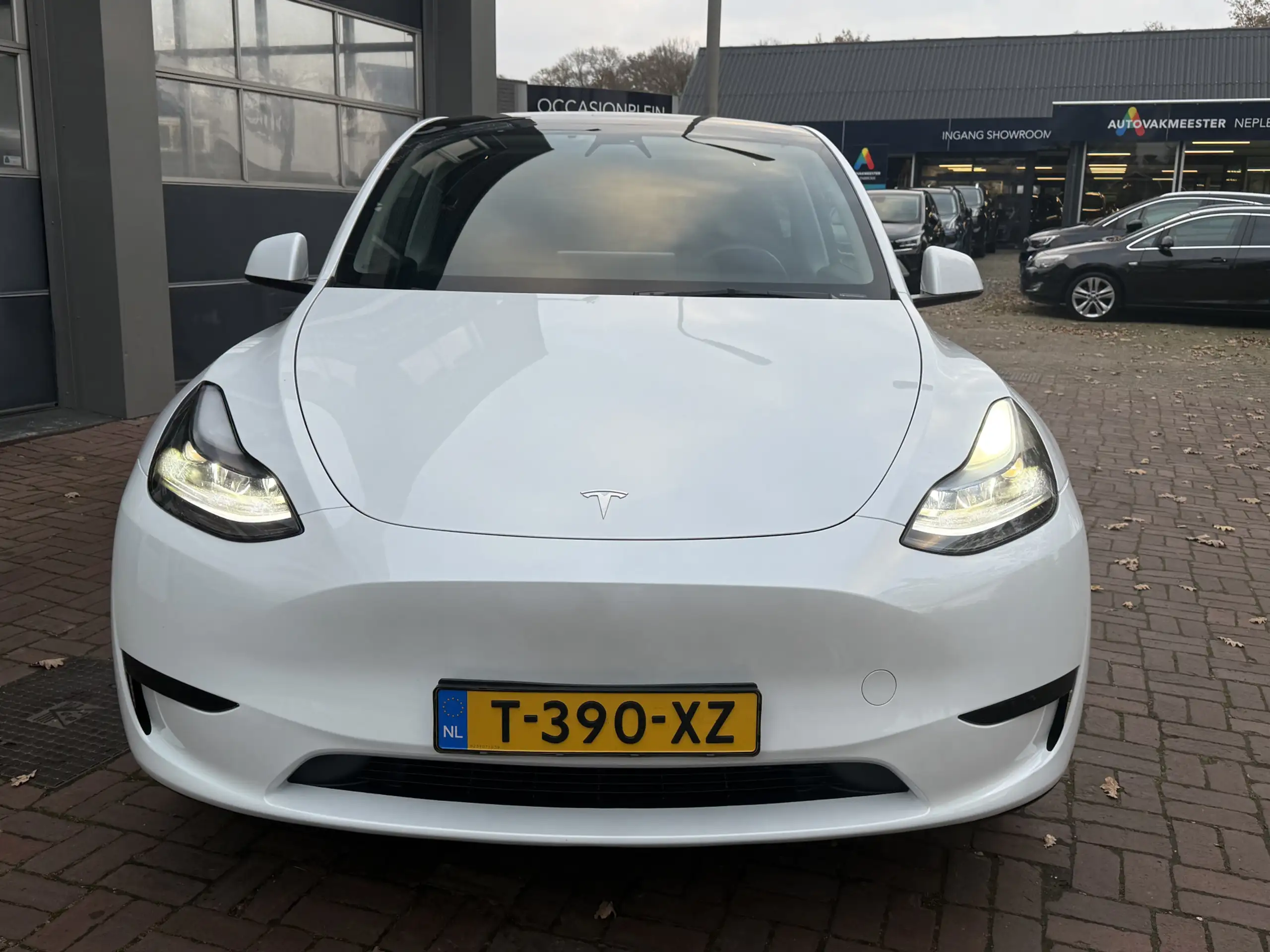 Tesla - Model Y