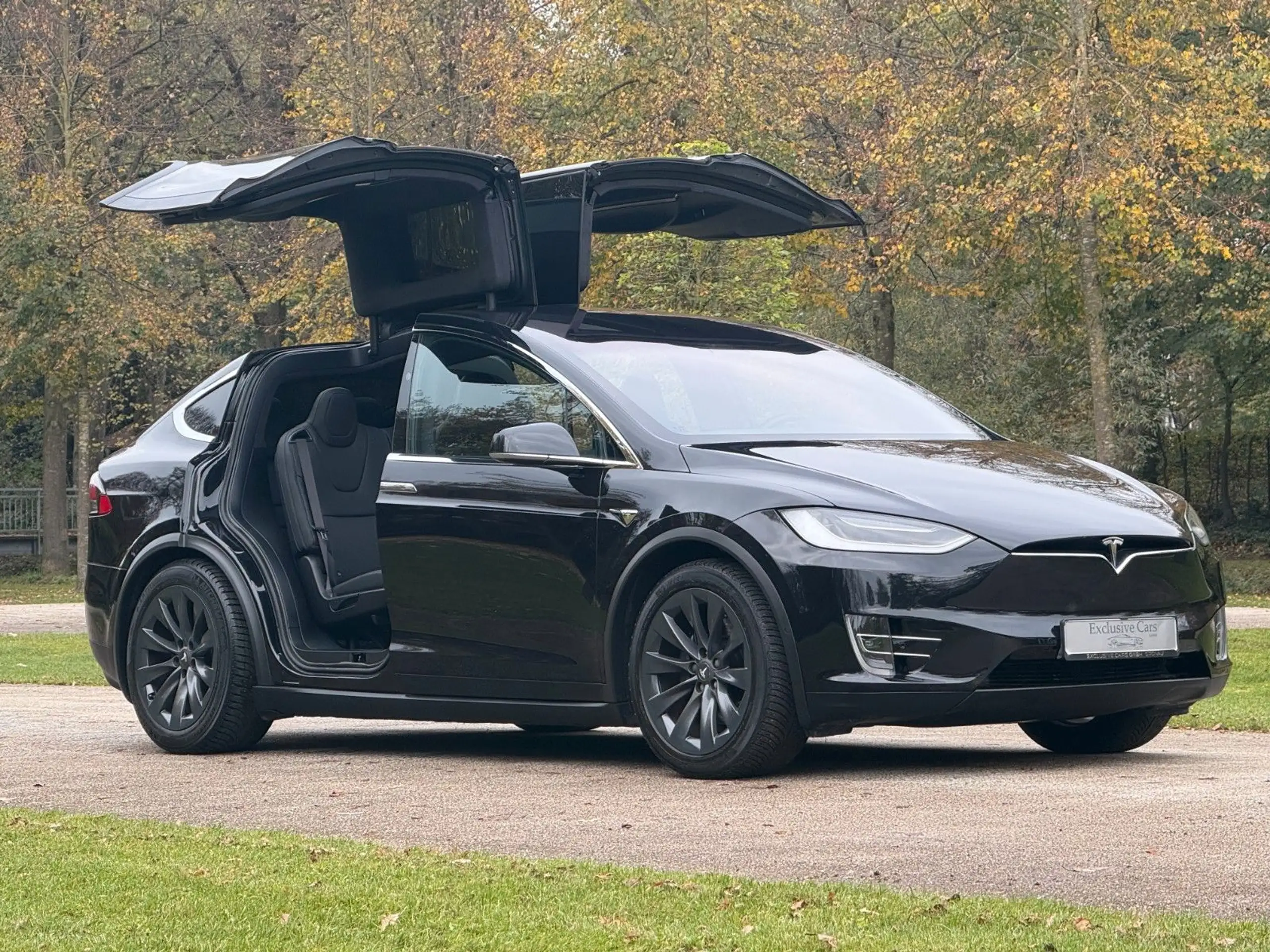 Tesla - Model X