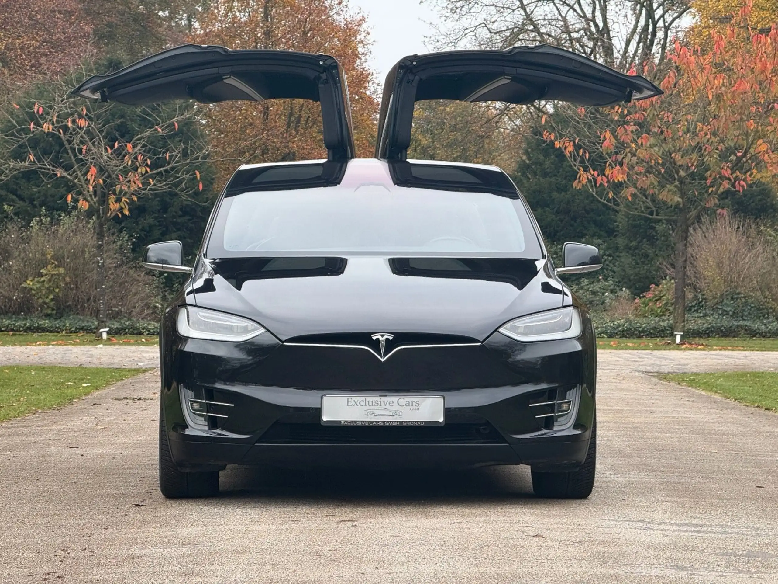 Tesla - Model X