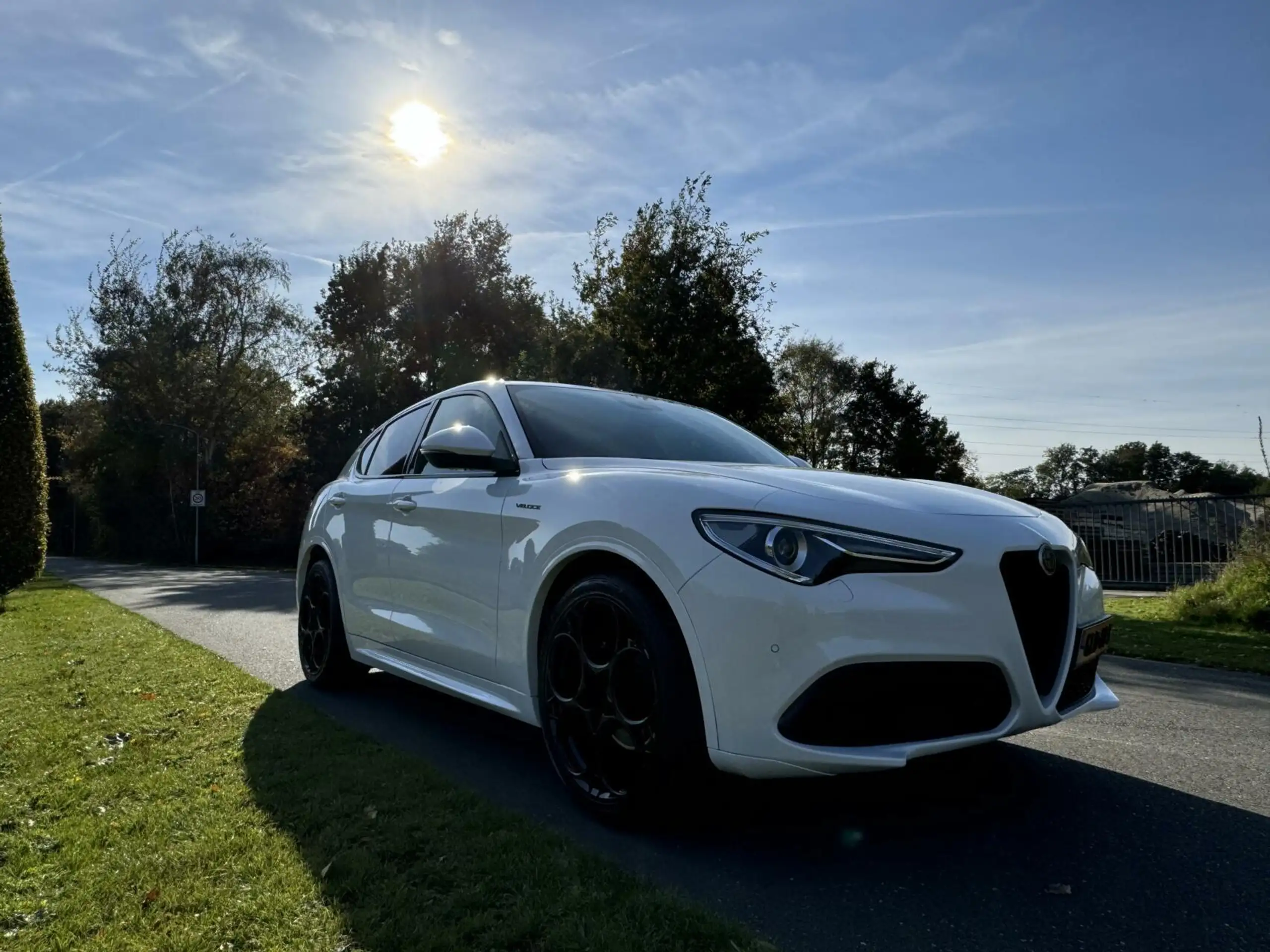 Alfa Romeo - Stelvio