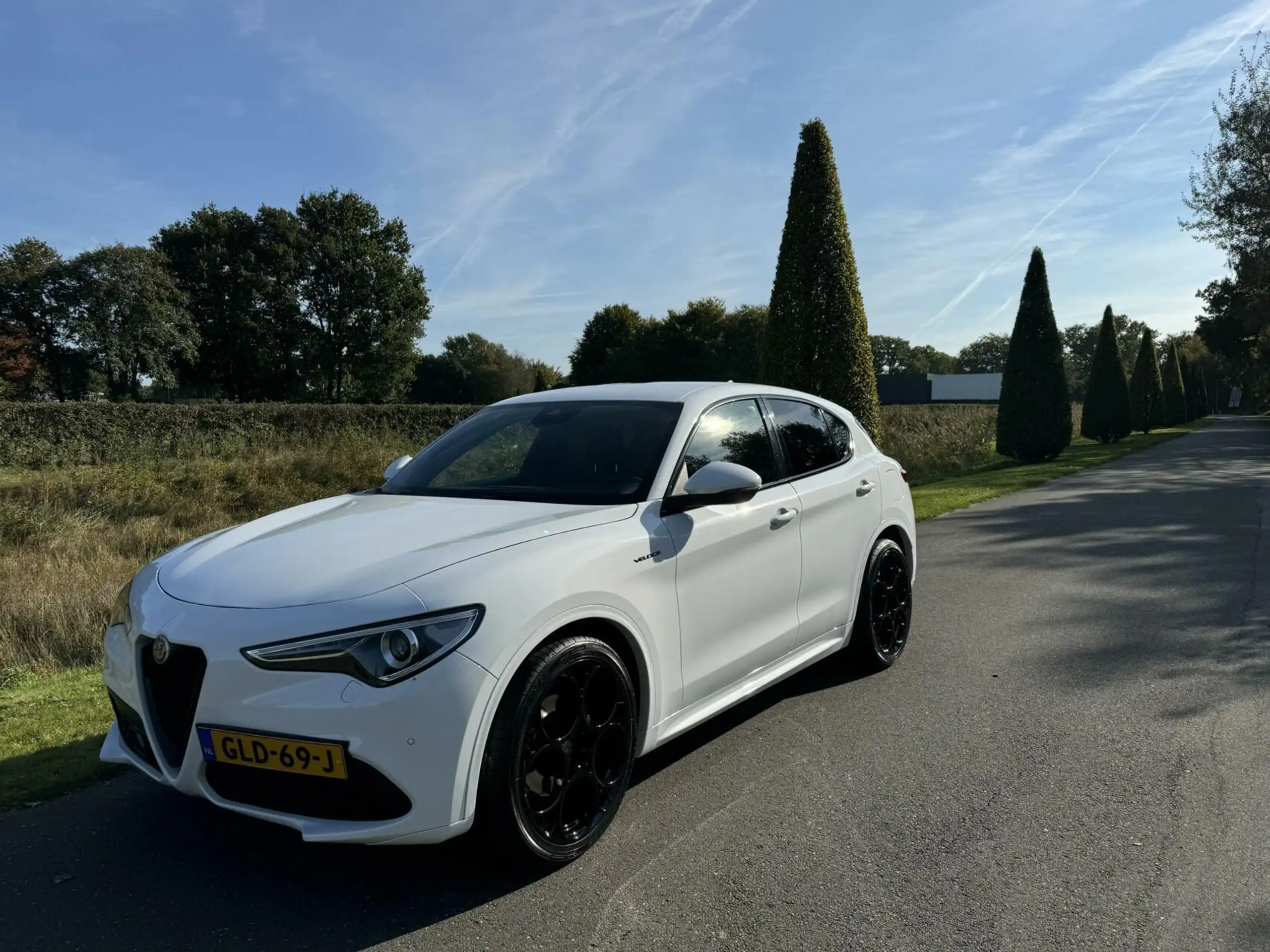 Alfa Romeo - Stelvio