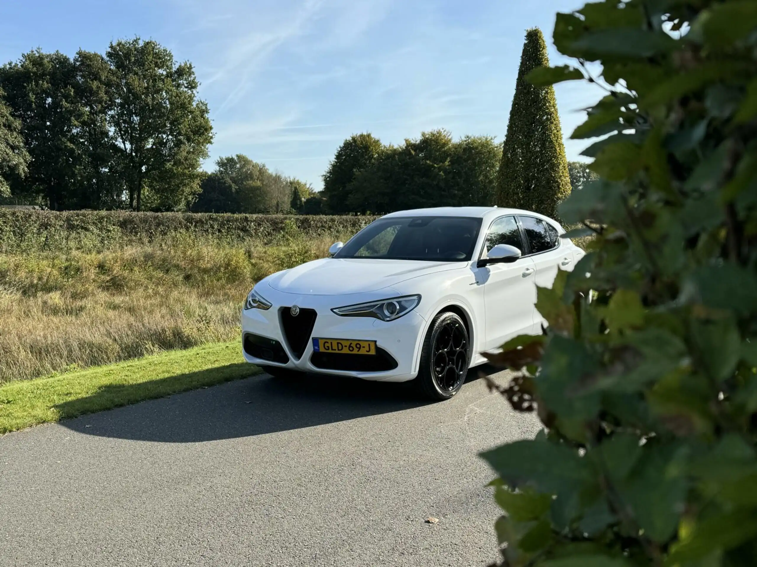 Alfa Romeo - Stelvio