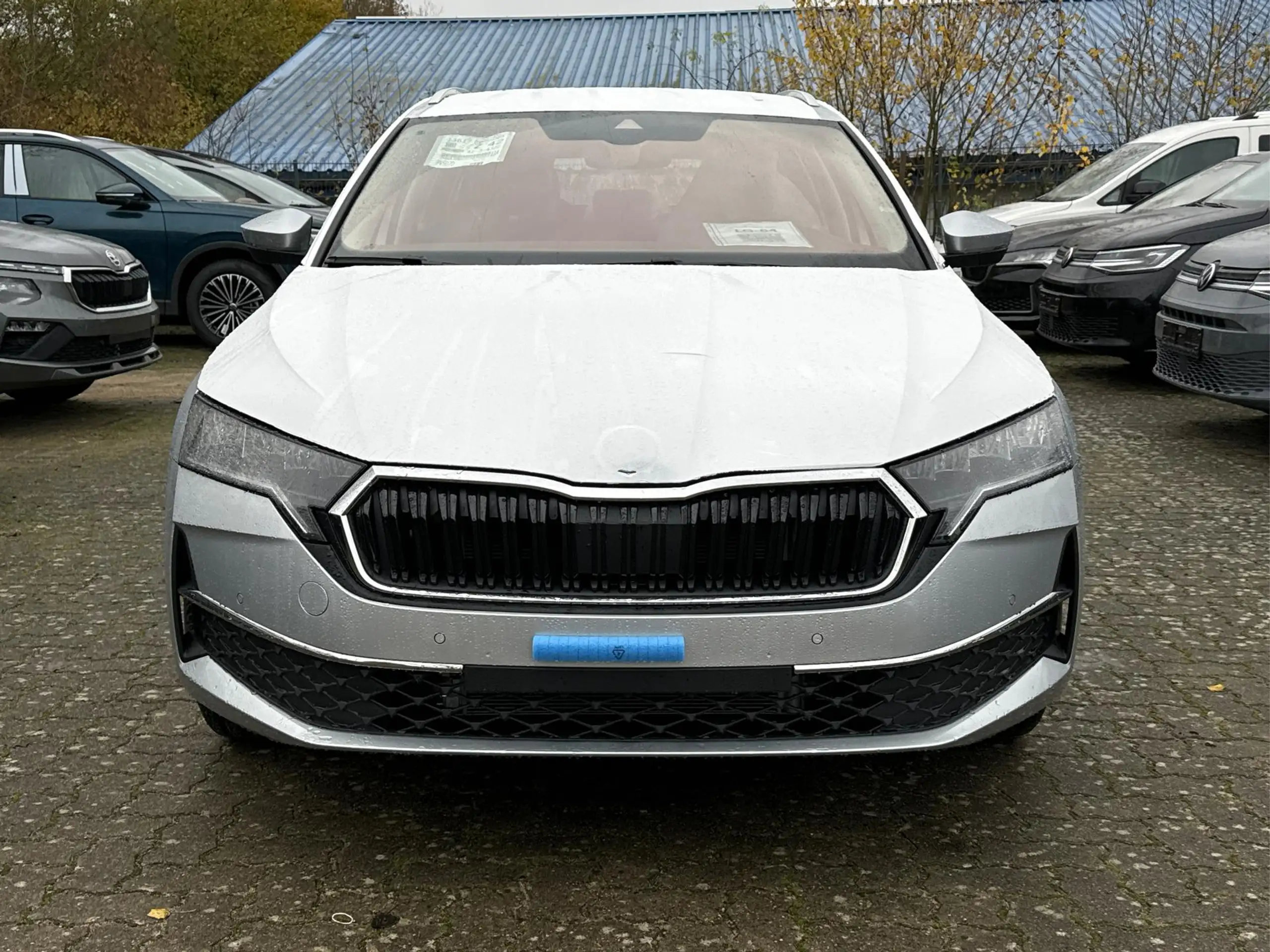 Skoda - Octavia