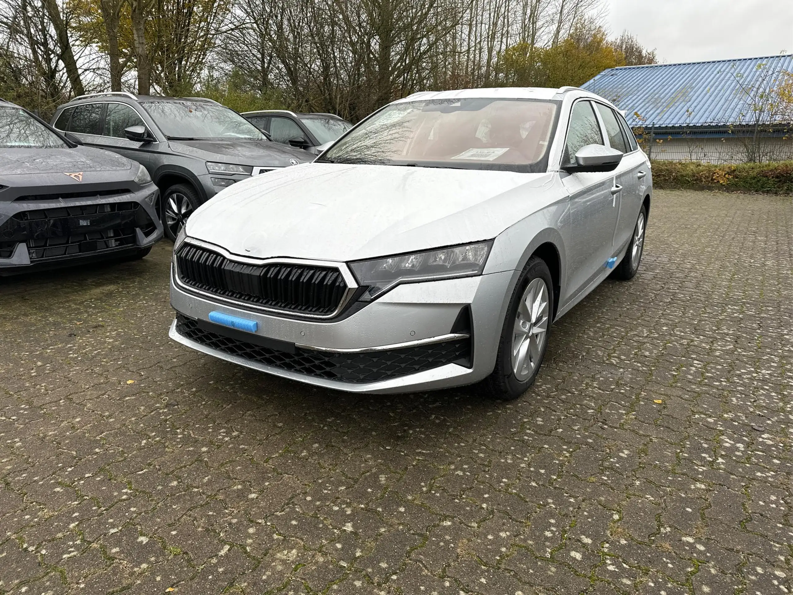 Skoda - Octavia