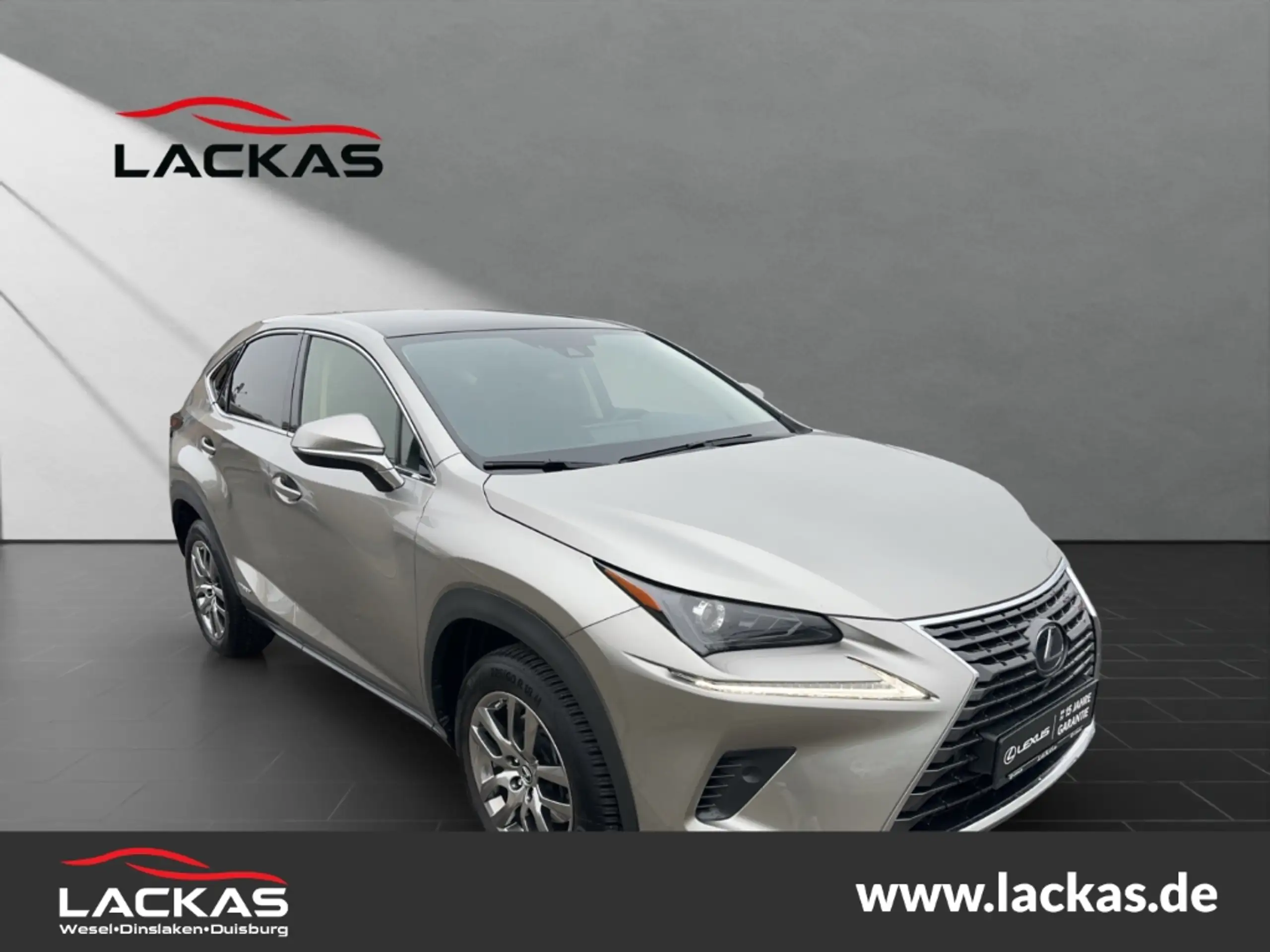 Lexus - NX 300h