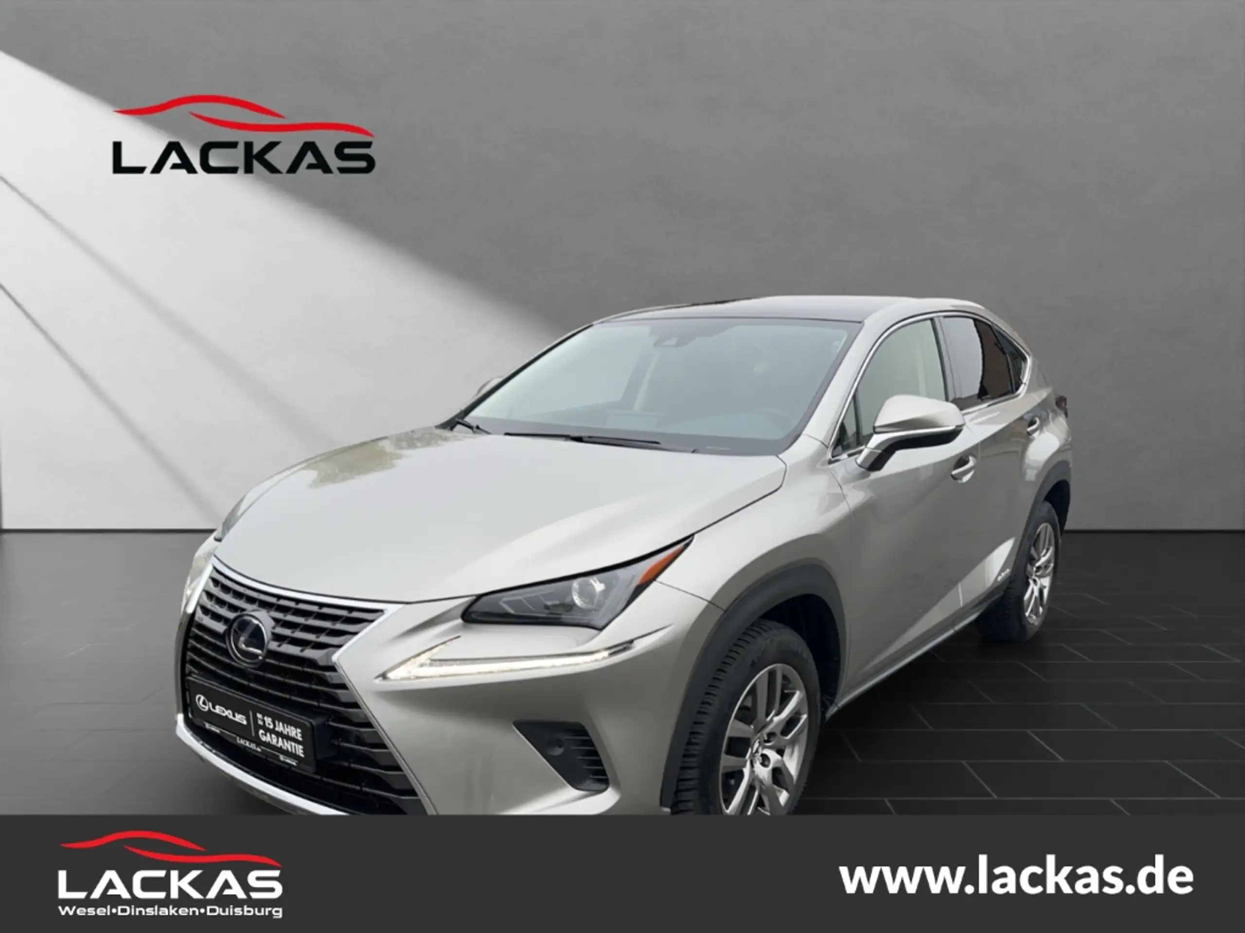 Lexus - NX 300h