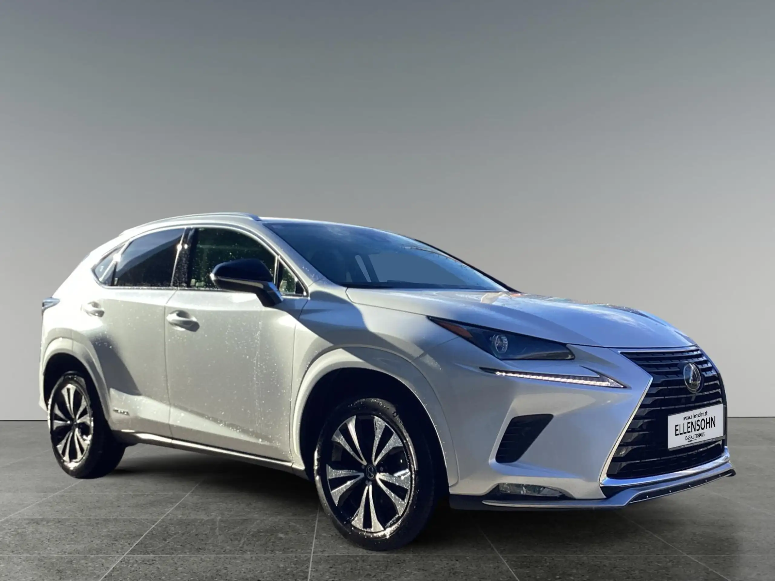 Lexus - NX 300h