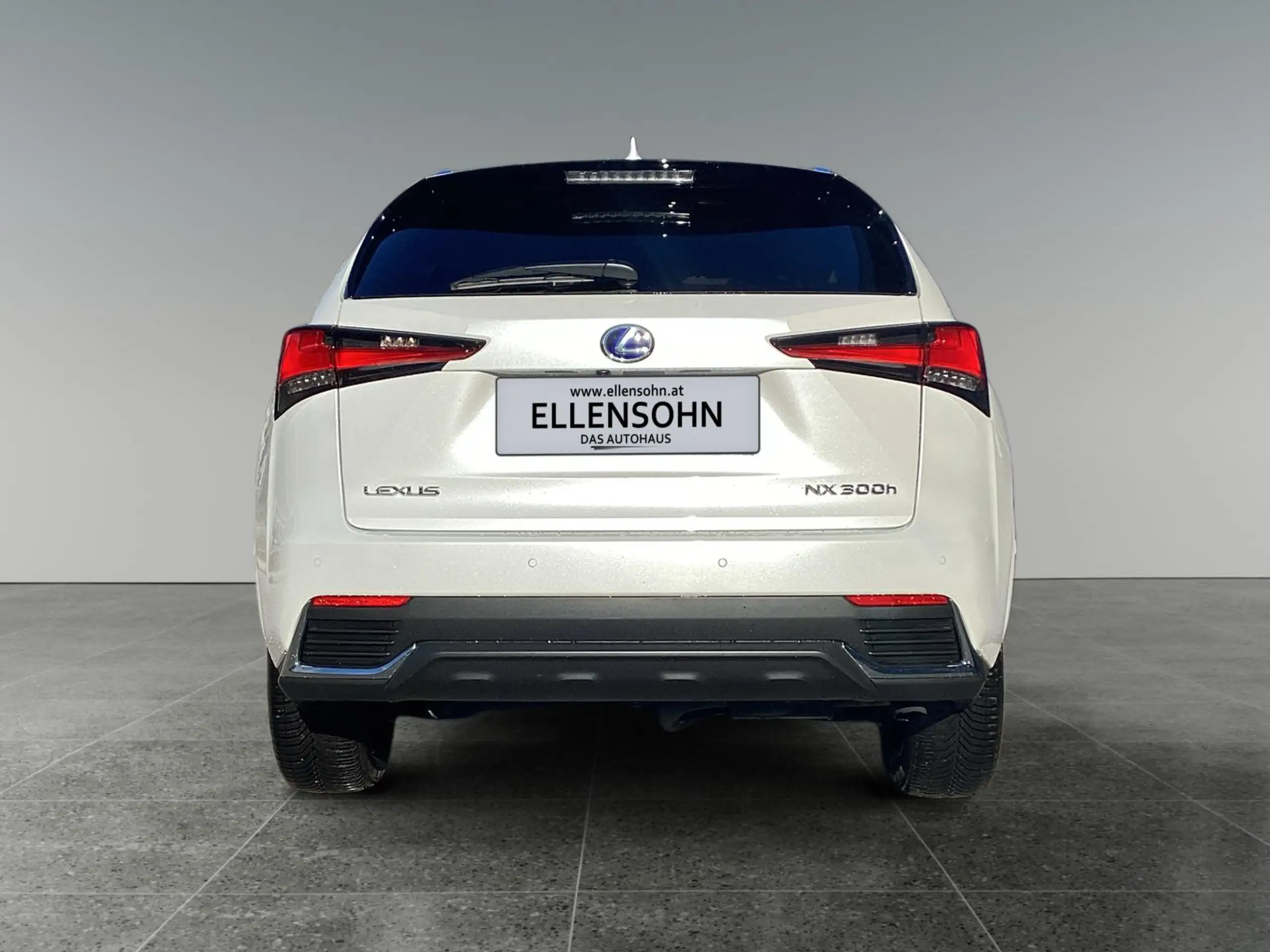 Lexus - NX 300h