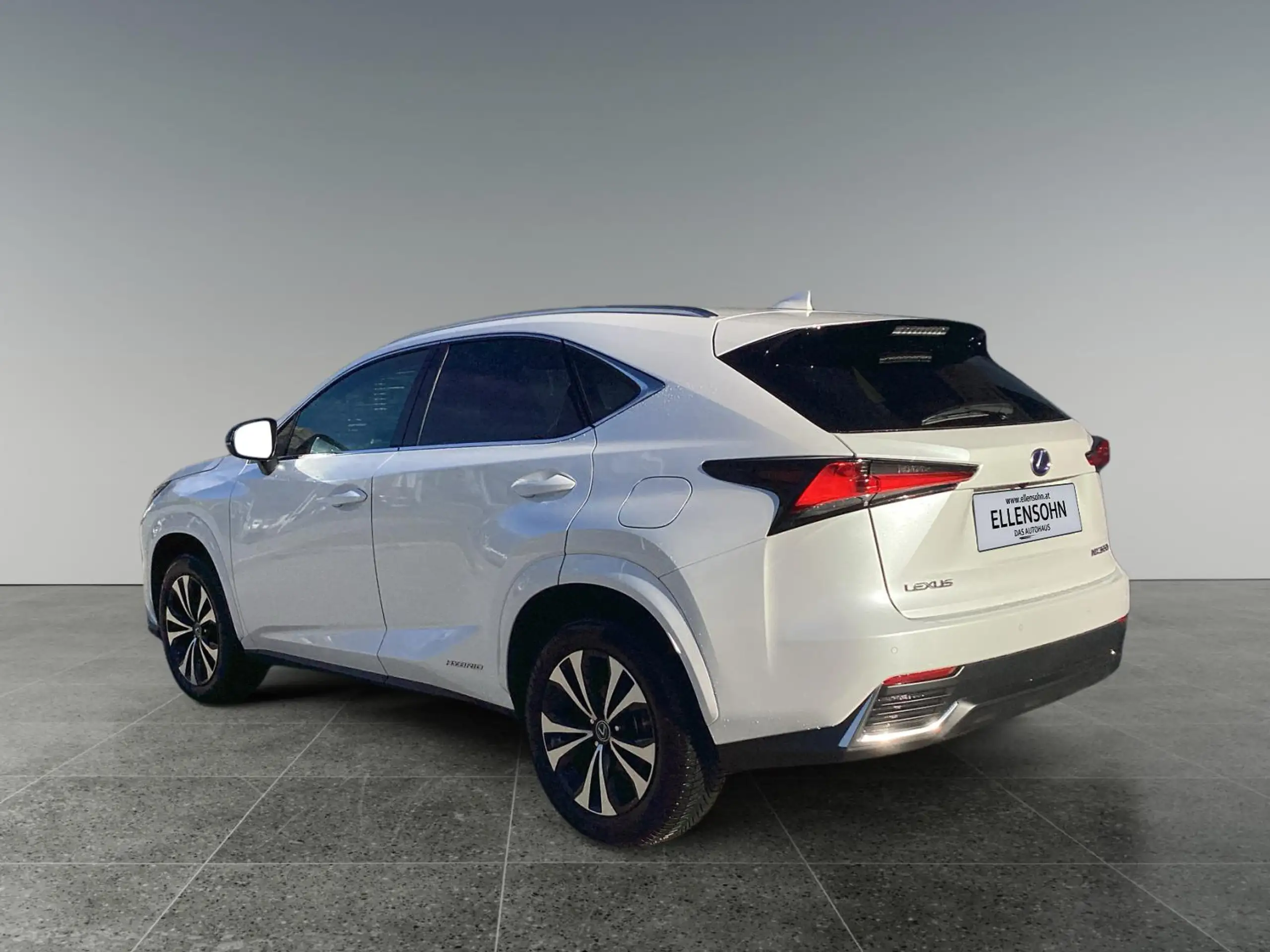 Lexus - NX 300h