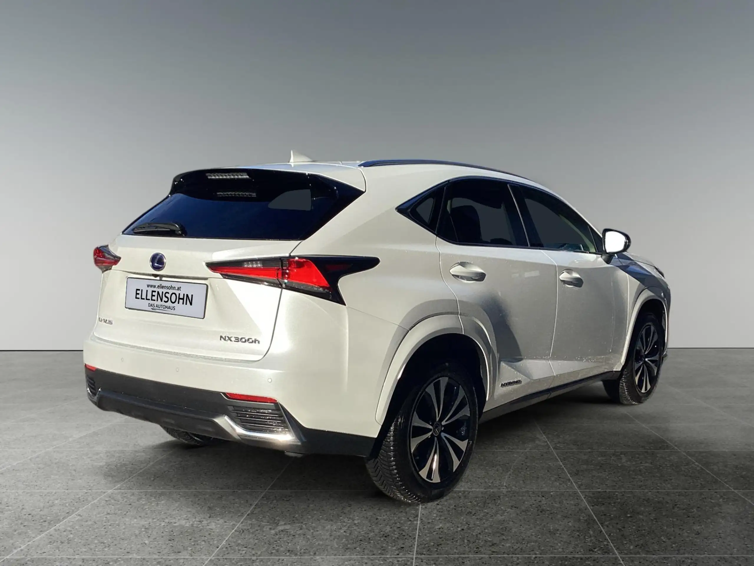 Lexus - NX 300h