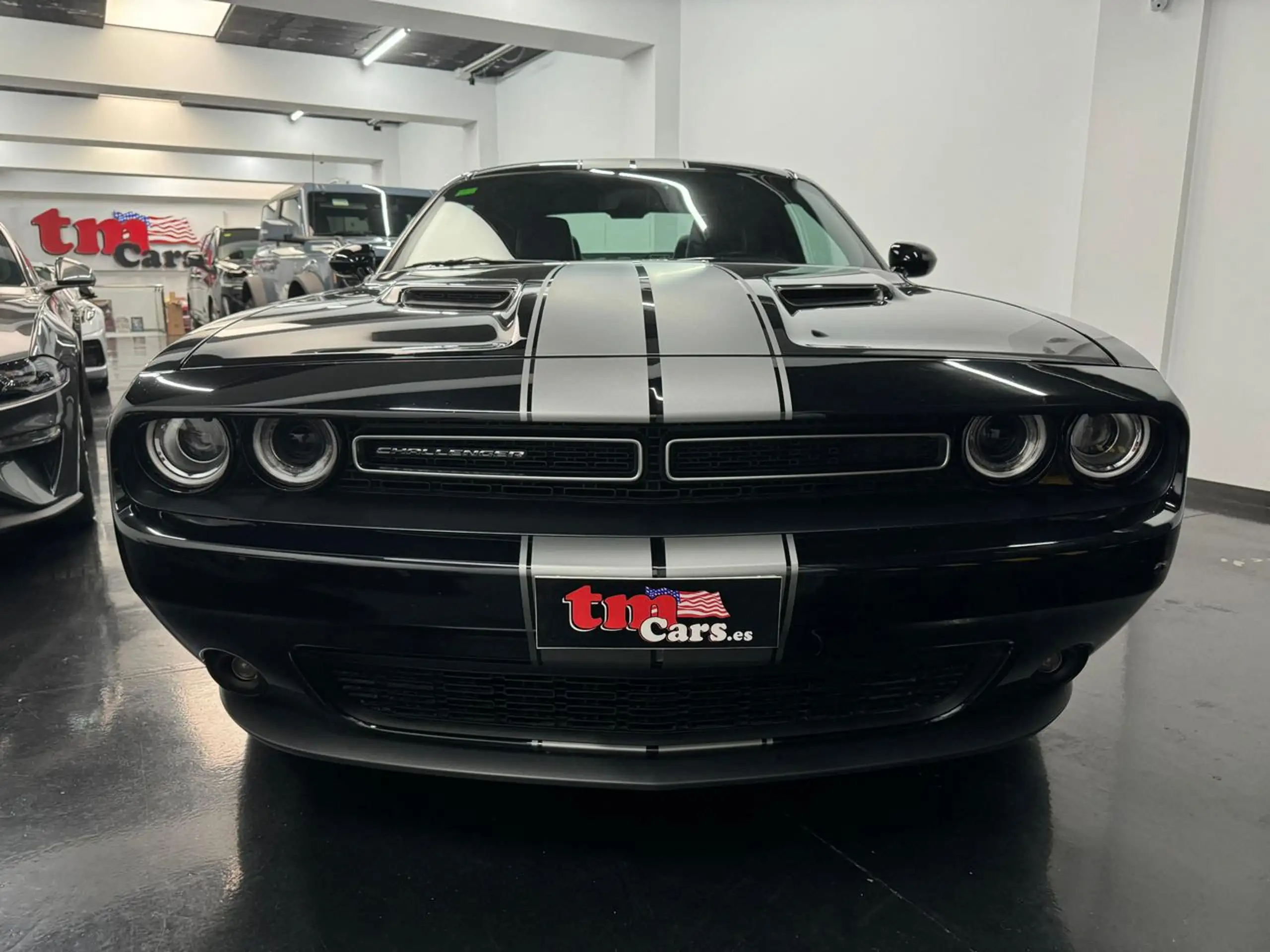 Dodge - Challenger