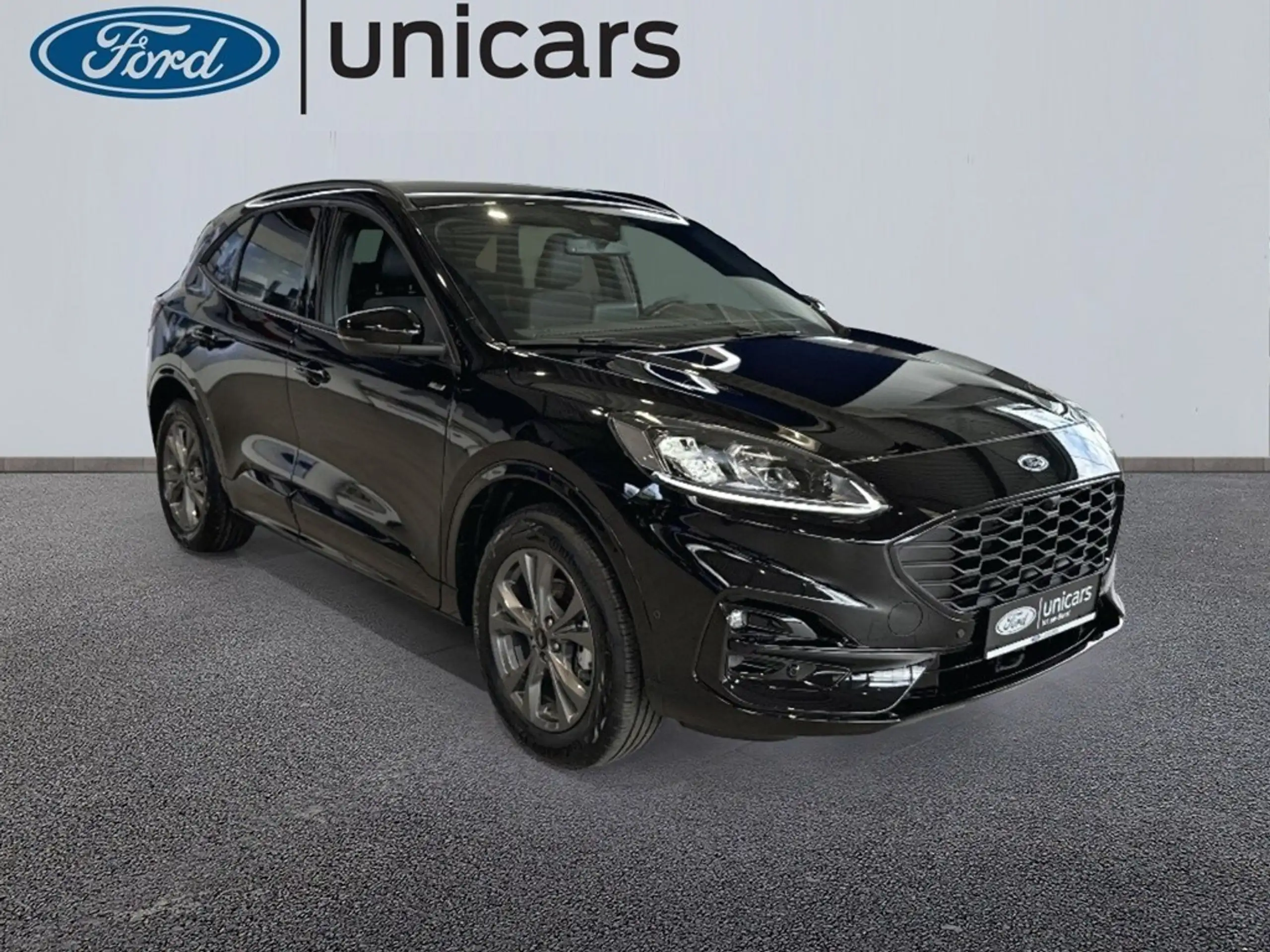 Ford - Kuga